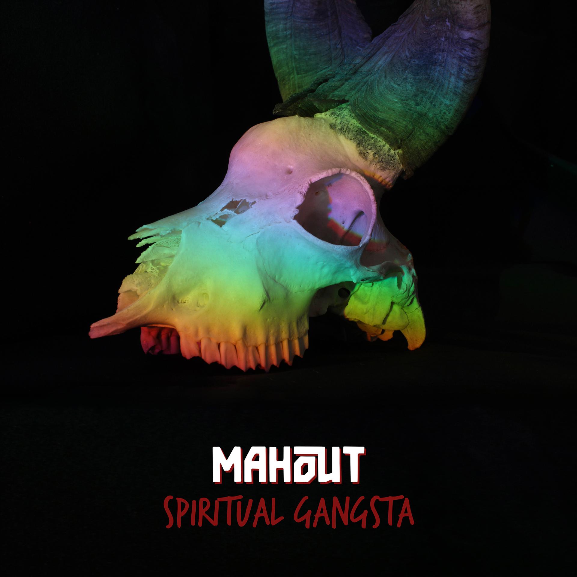 Постер альбома Spiritual Gangsta