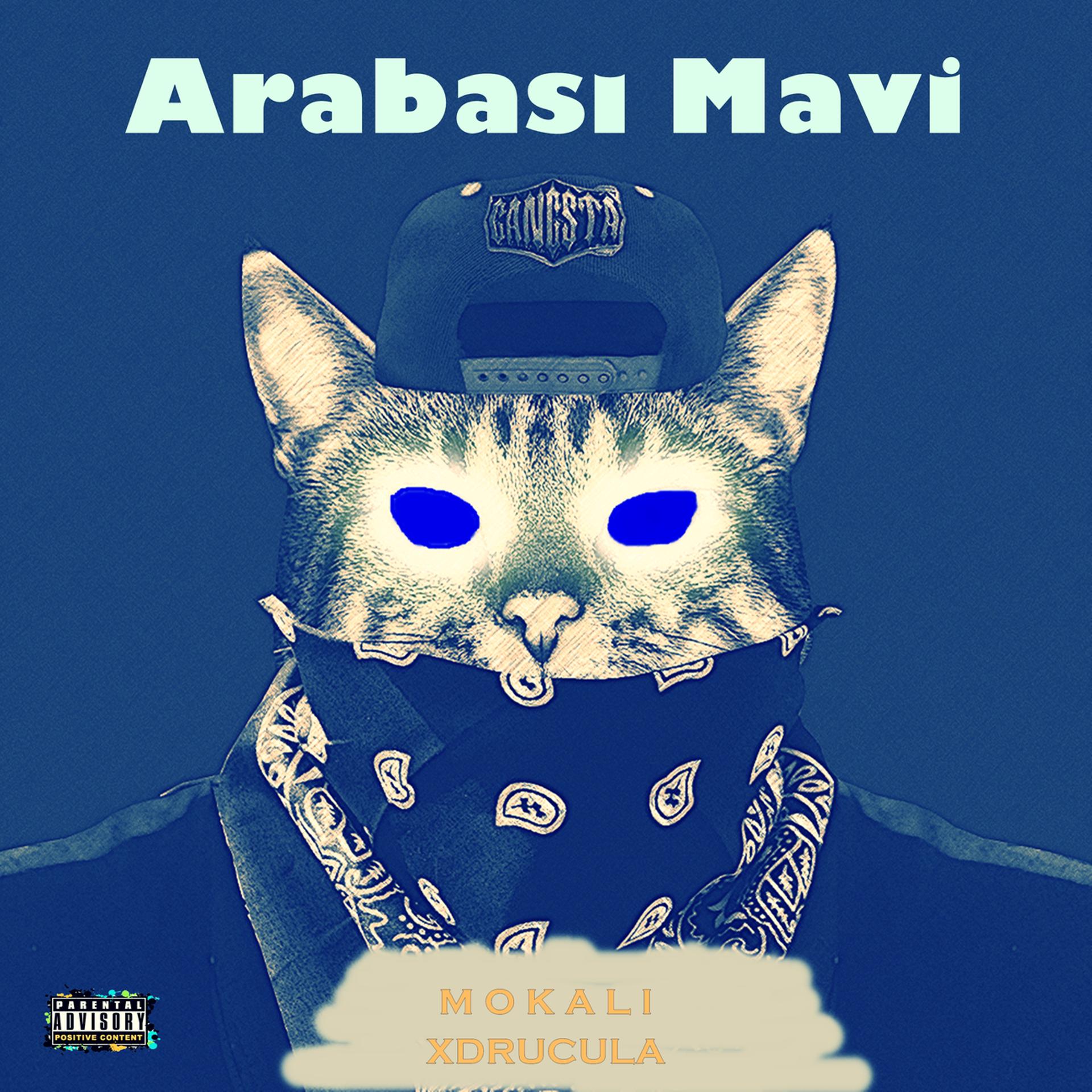 Постер альбома Arabası Mavi