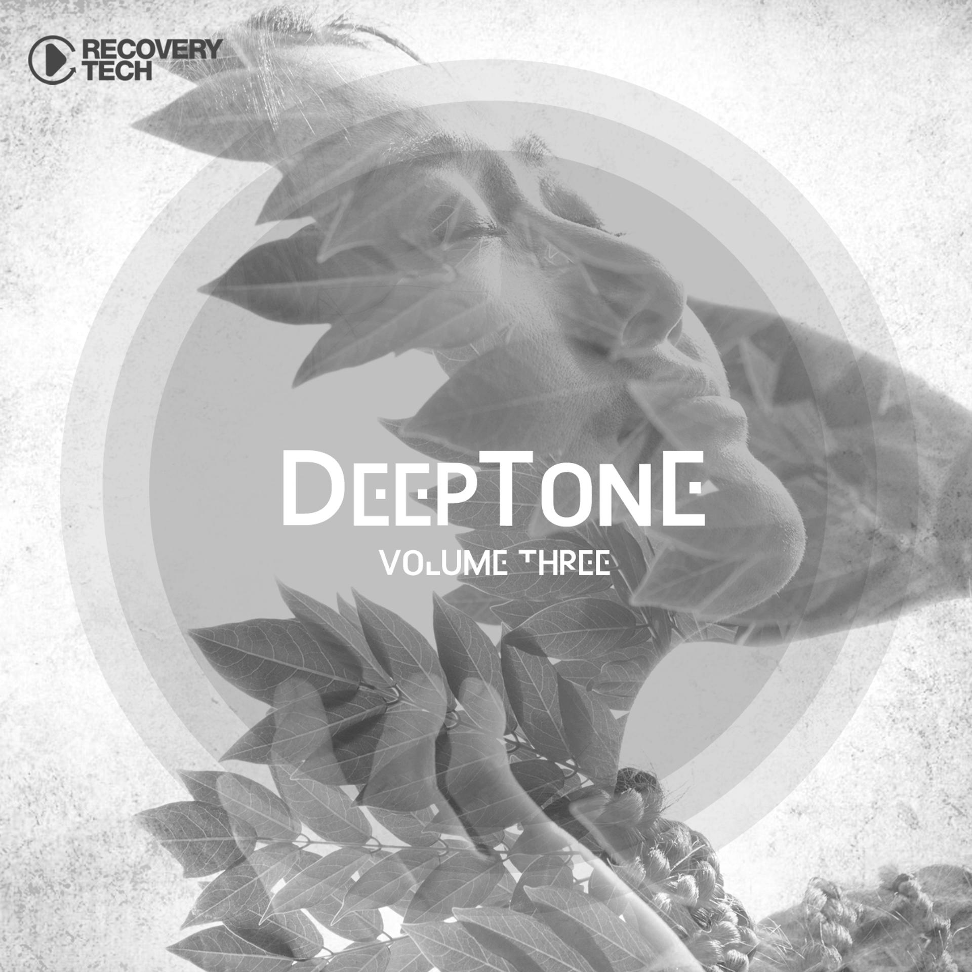 Постер альбома DeepTone, Vol. 3