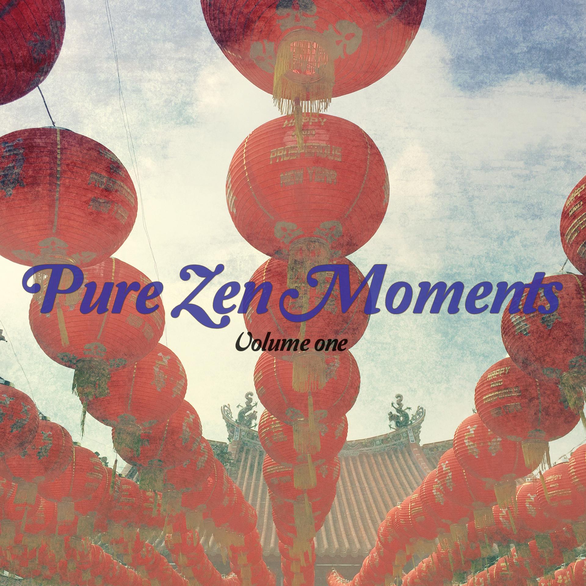 Постер альбома Pure Zen Moments