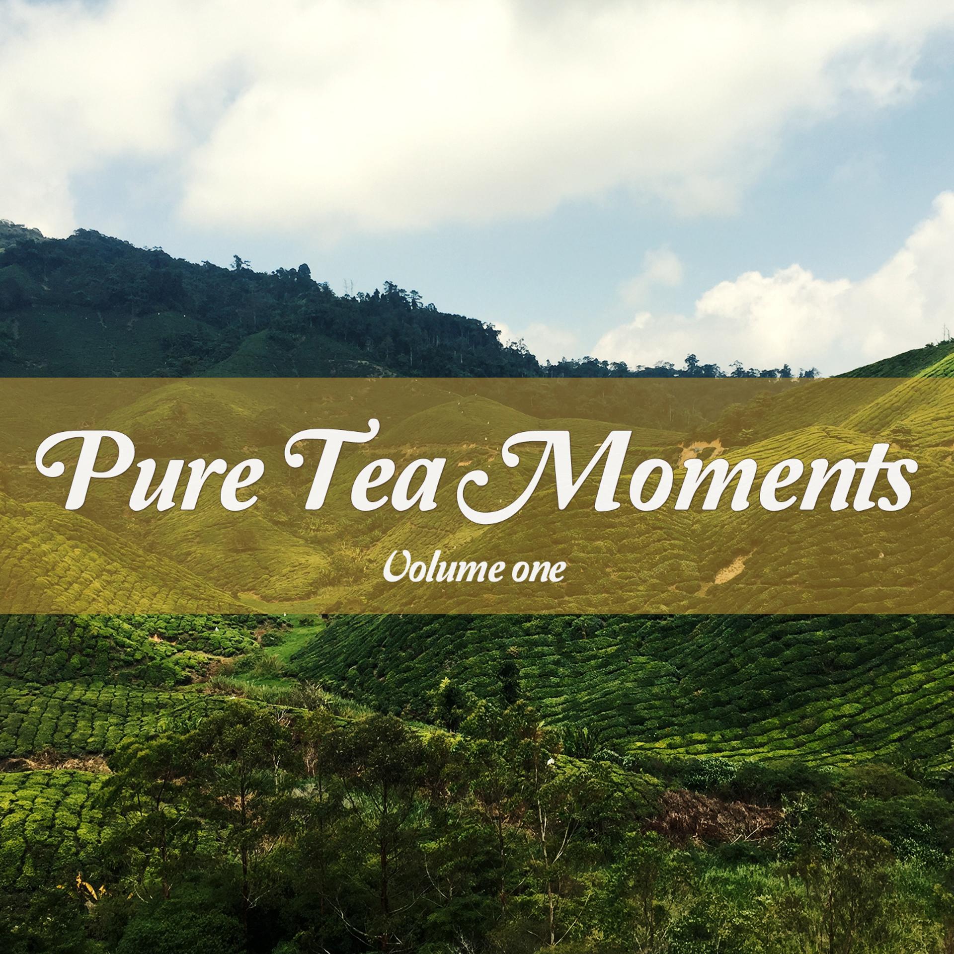 Постер альбома Pure Tea Moments, Vol. 1