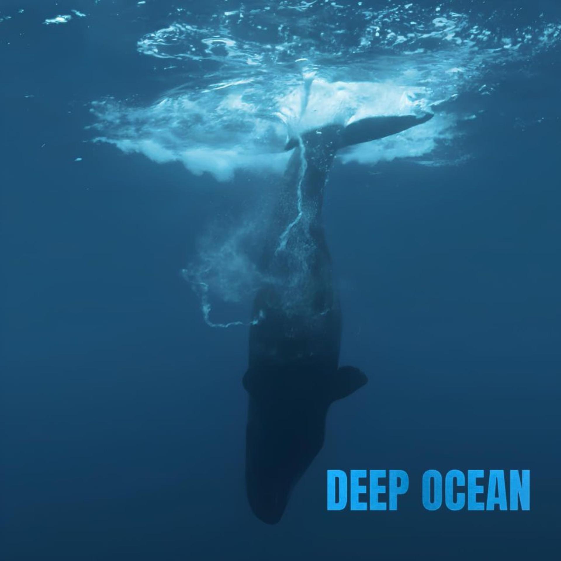 Постер альбома Deep Ocean
