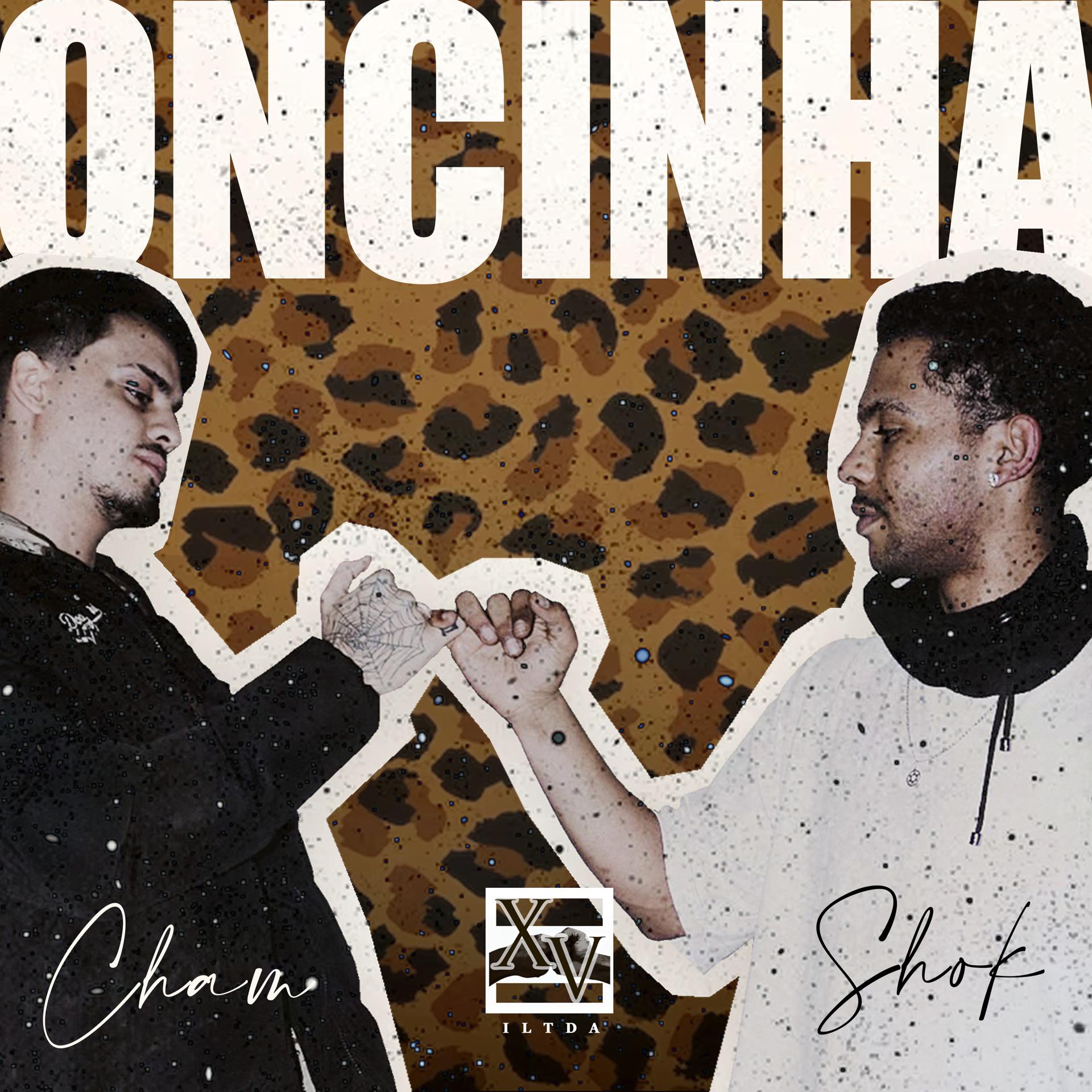 Постер альбома Oncinha