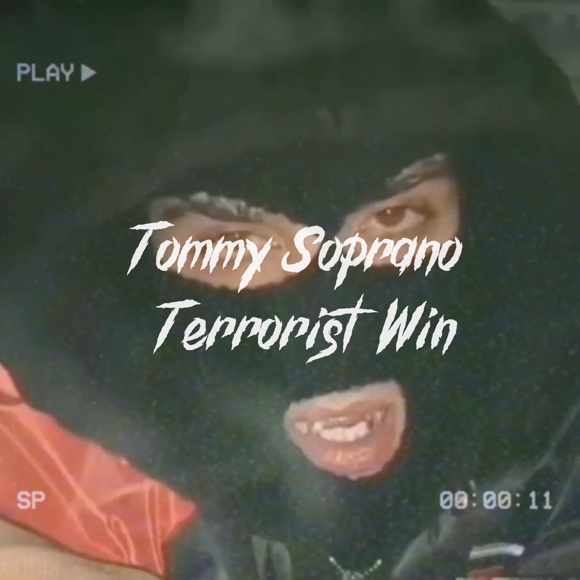 Постер альбома Terrorist Win