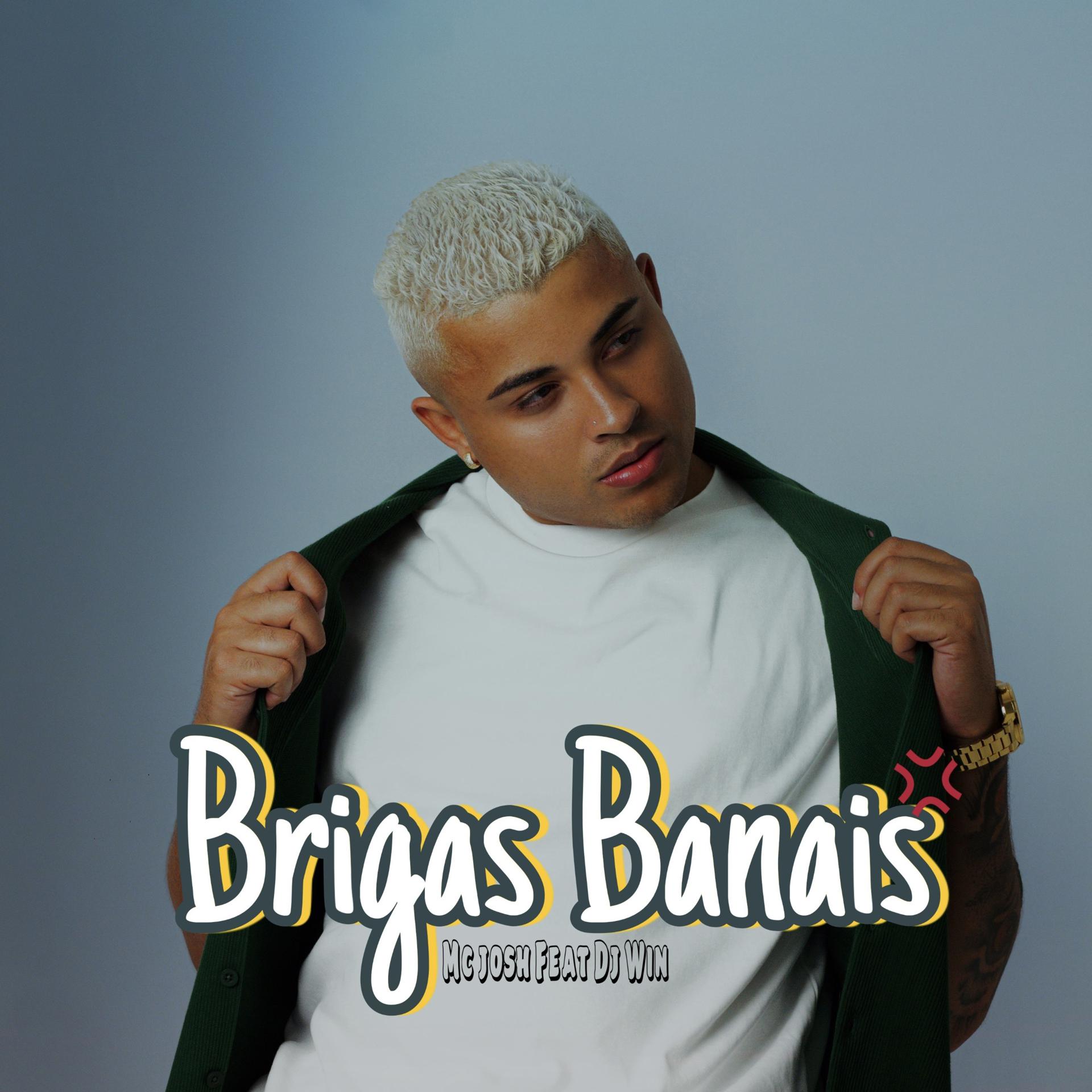 Постер альбома Brigas Banais