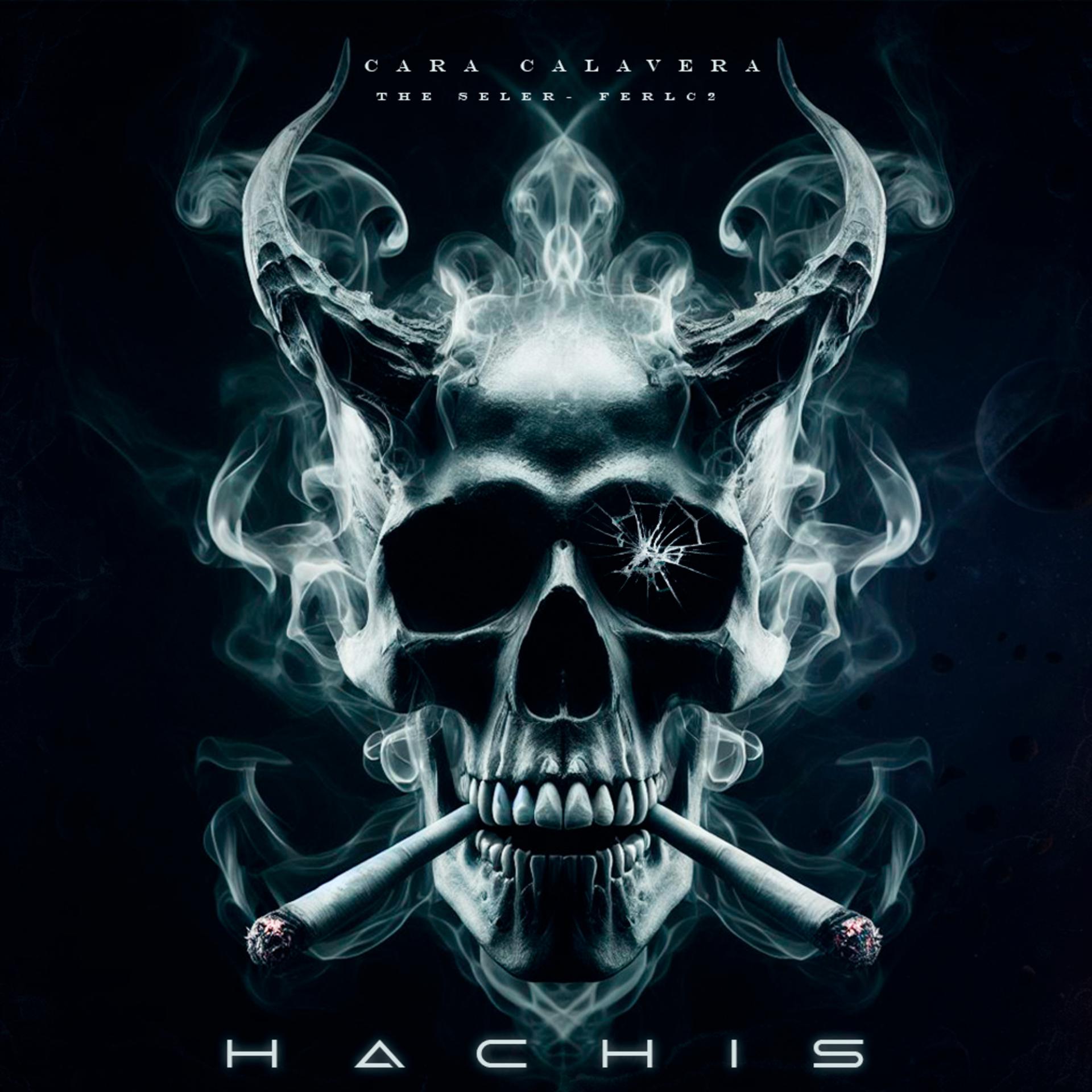 Постер альбома Hachis