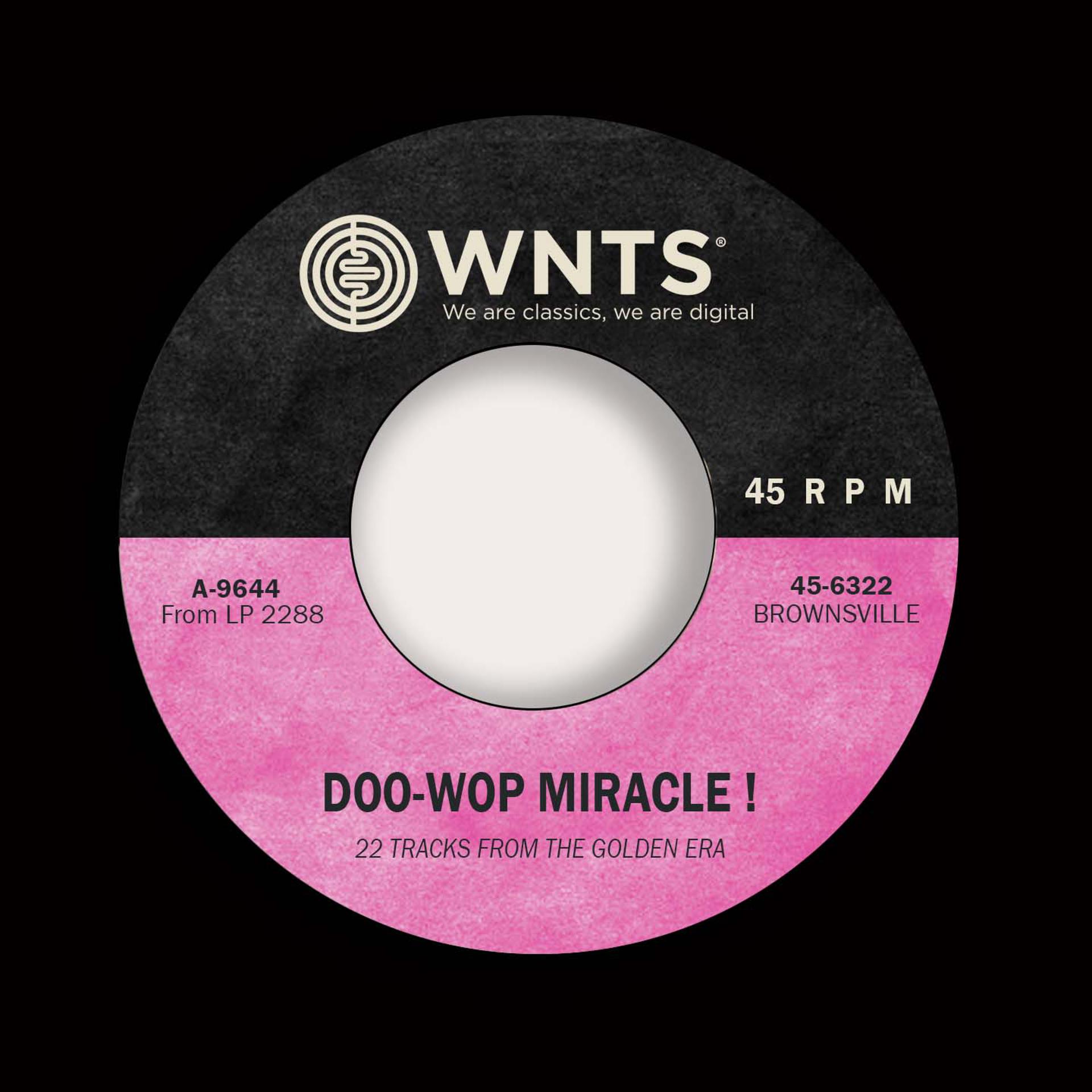 Постер альбома DooWop Miracle !