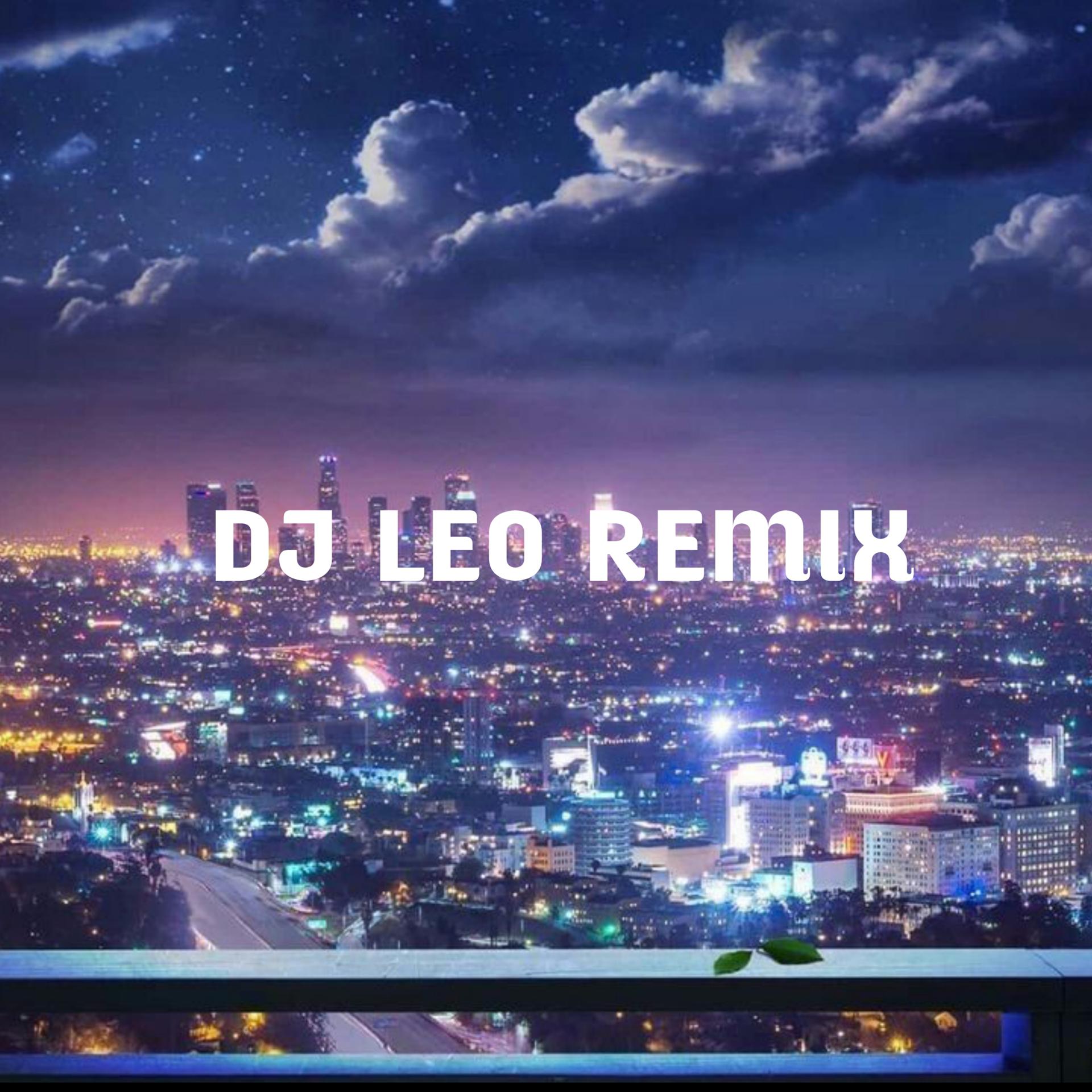 Постер альбома DJ BRONDONG TUA VIRAL TIKTOK - DJ LEO REMIX