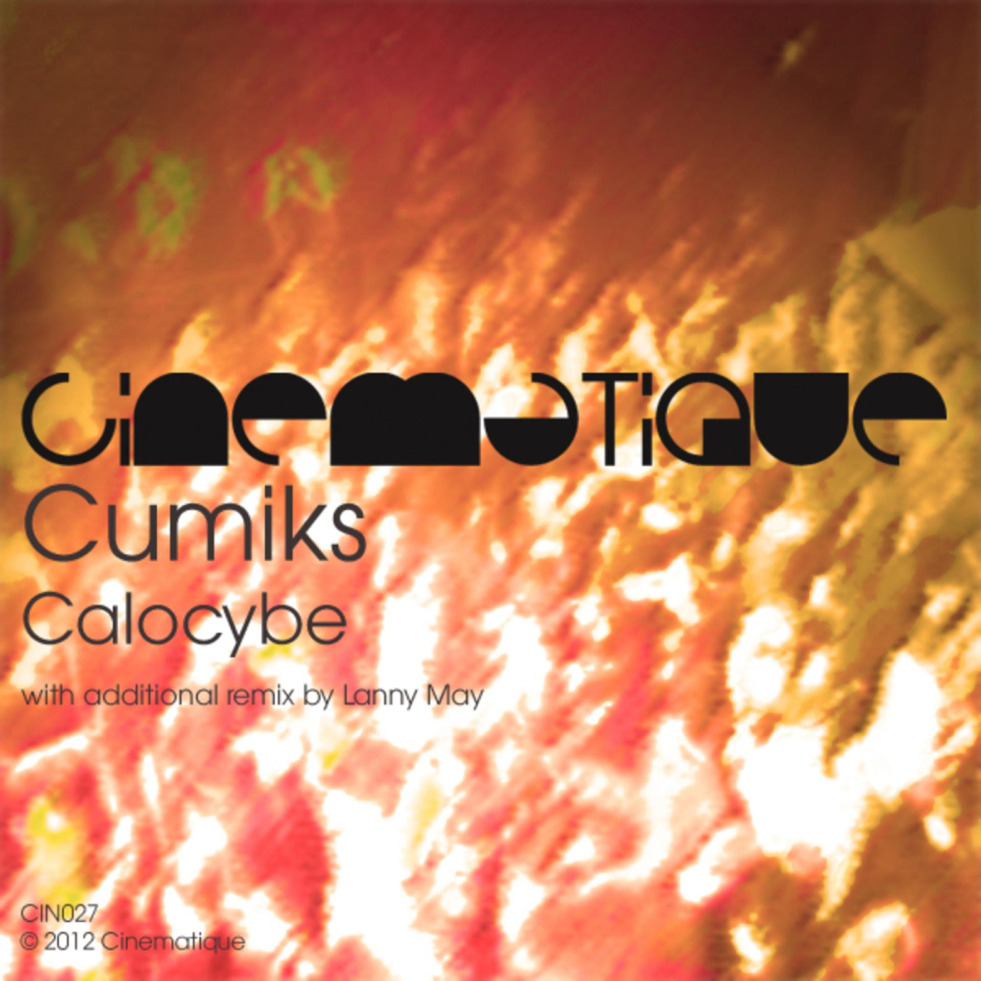 Постер альбома Calocybe