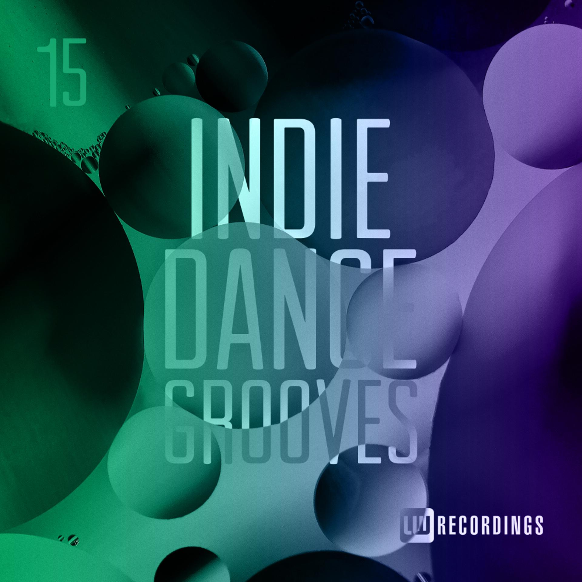 Постер альбома Indie Dance Grooves, Vol. 15