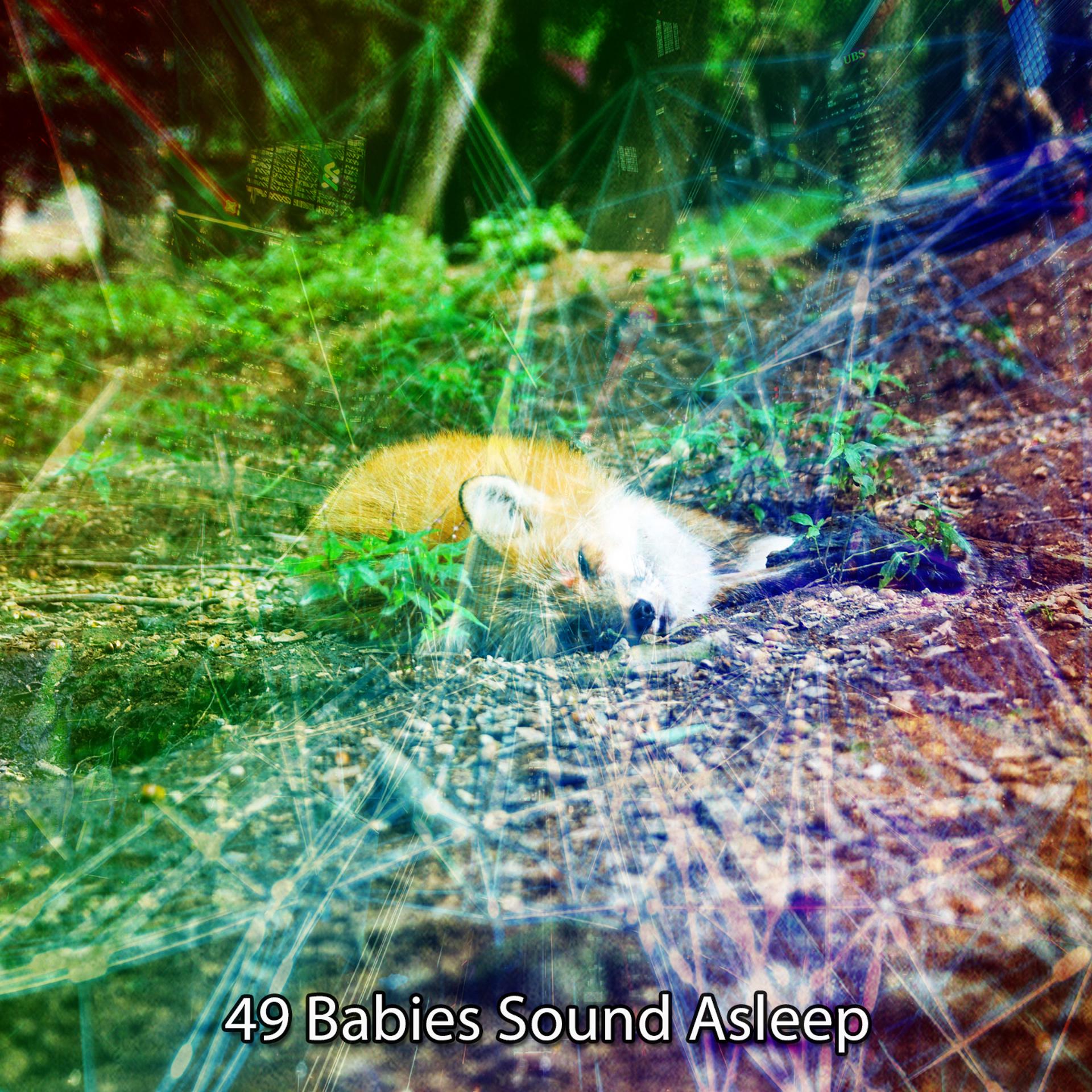 Постер альбома 49 Babies Sound Asleep