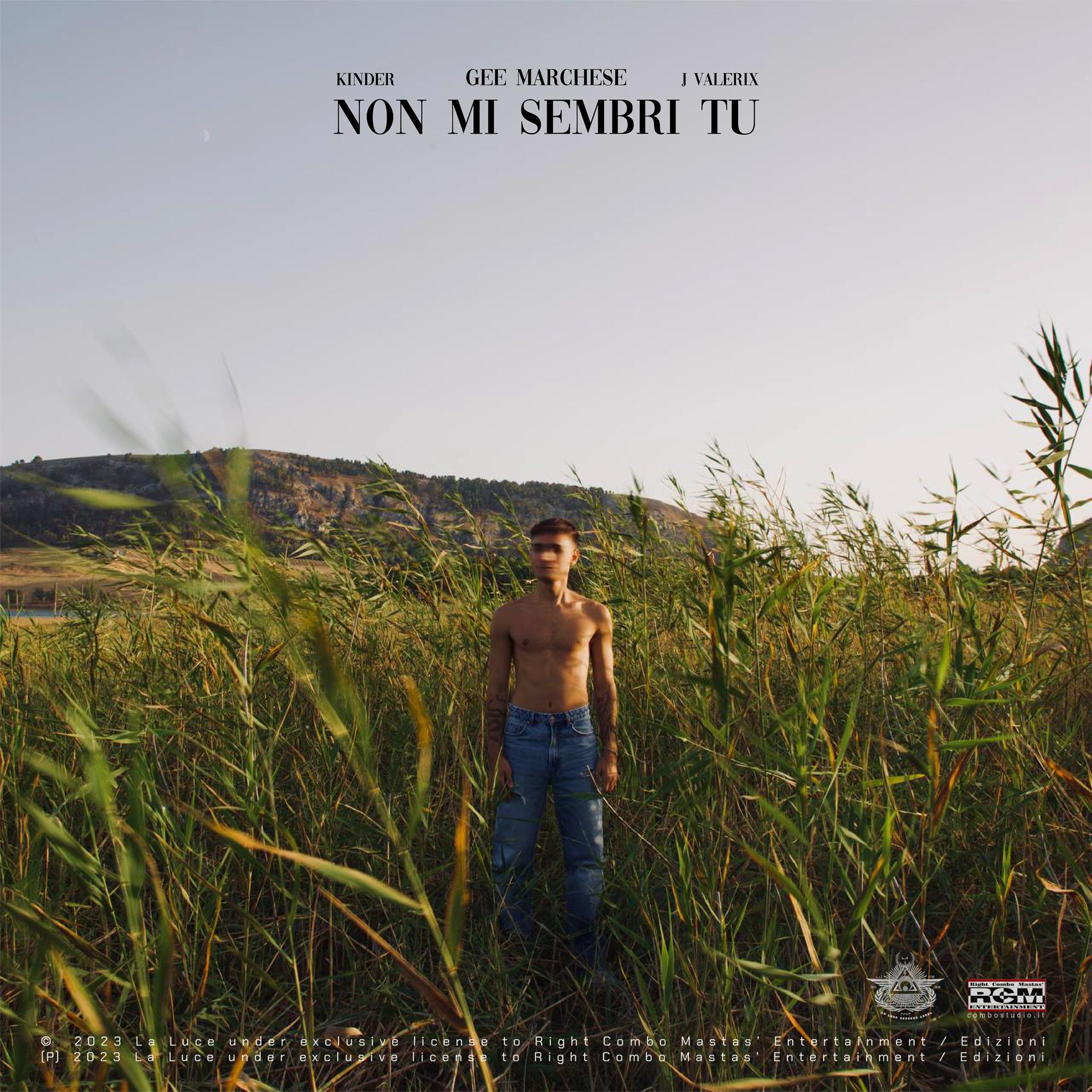 Постер альбома Non Mi Sembri Tu