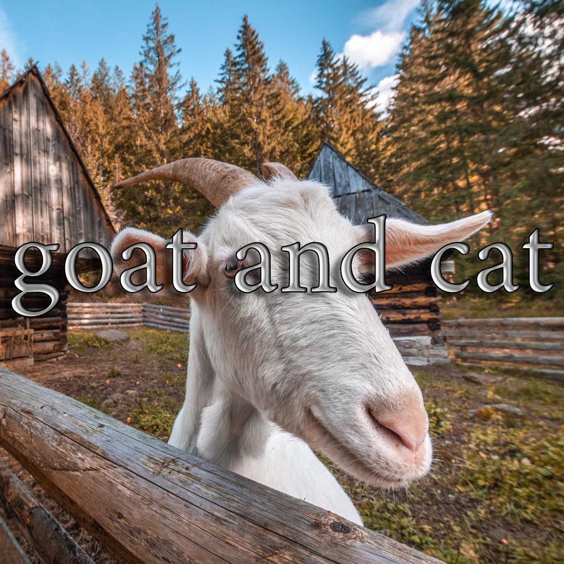 Постер альбома goat and cat