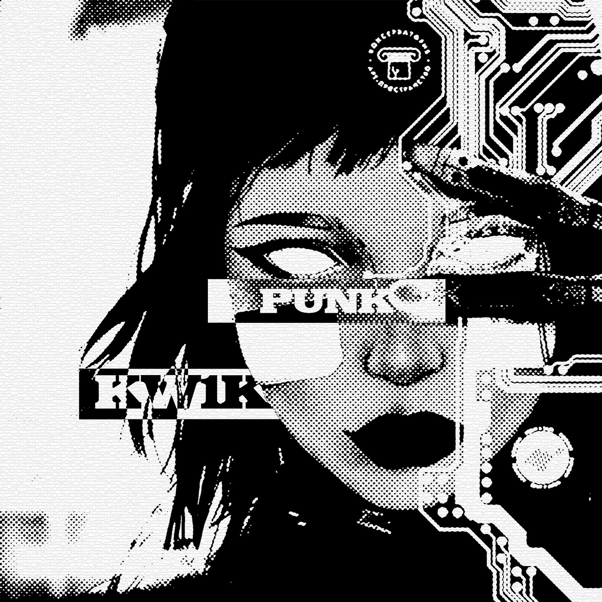Постер альбома punk