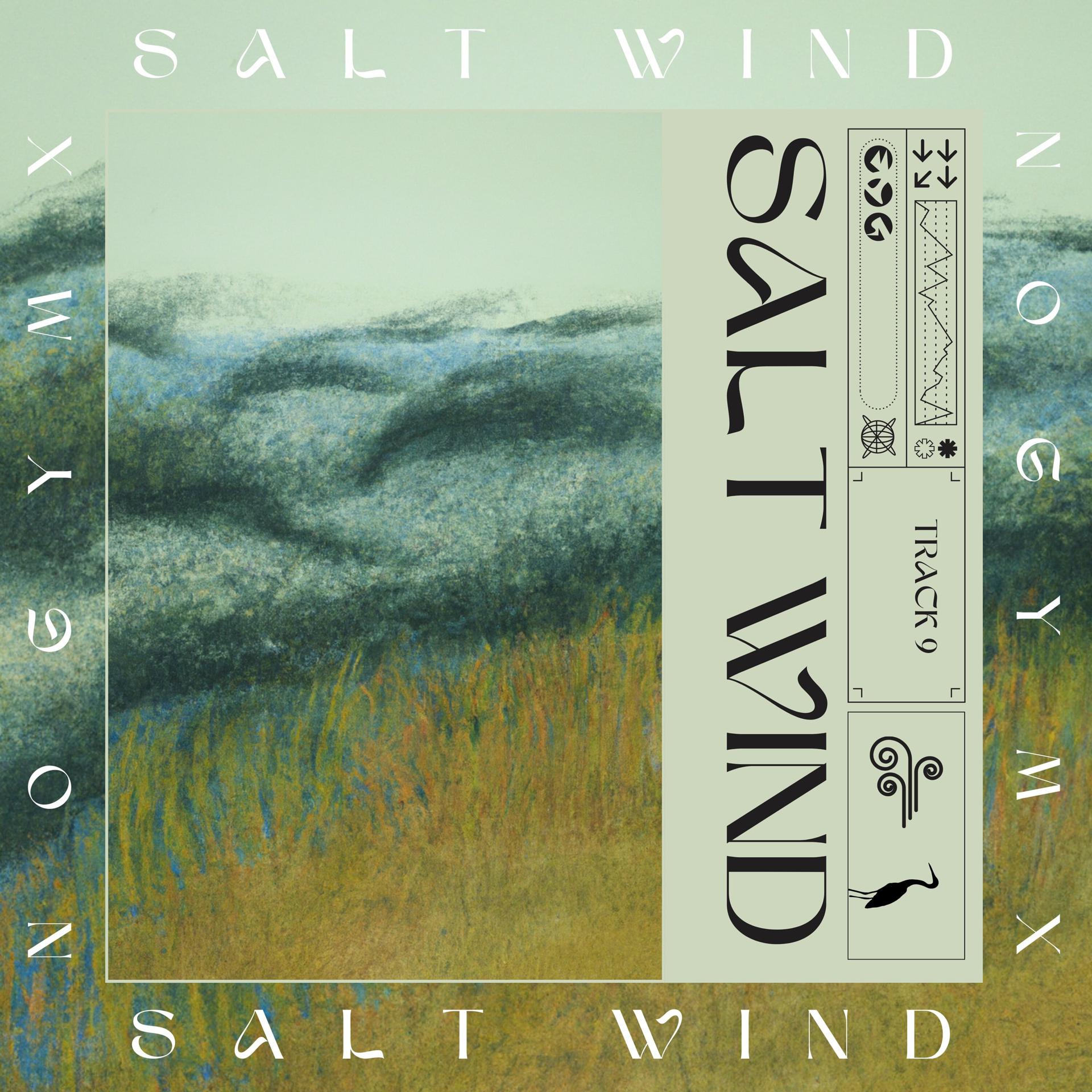 Постер альбома Salt Wind