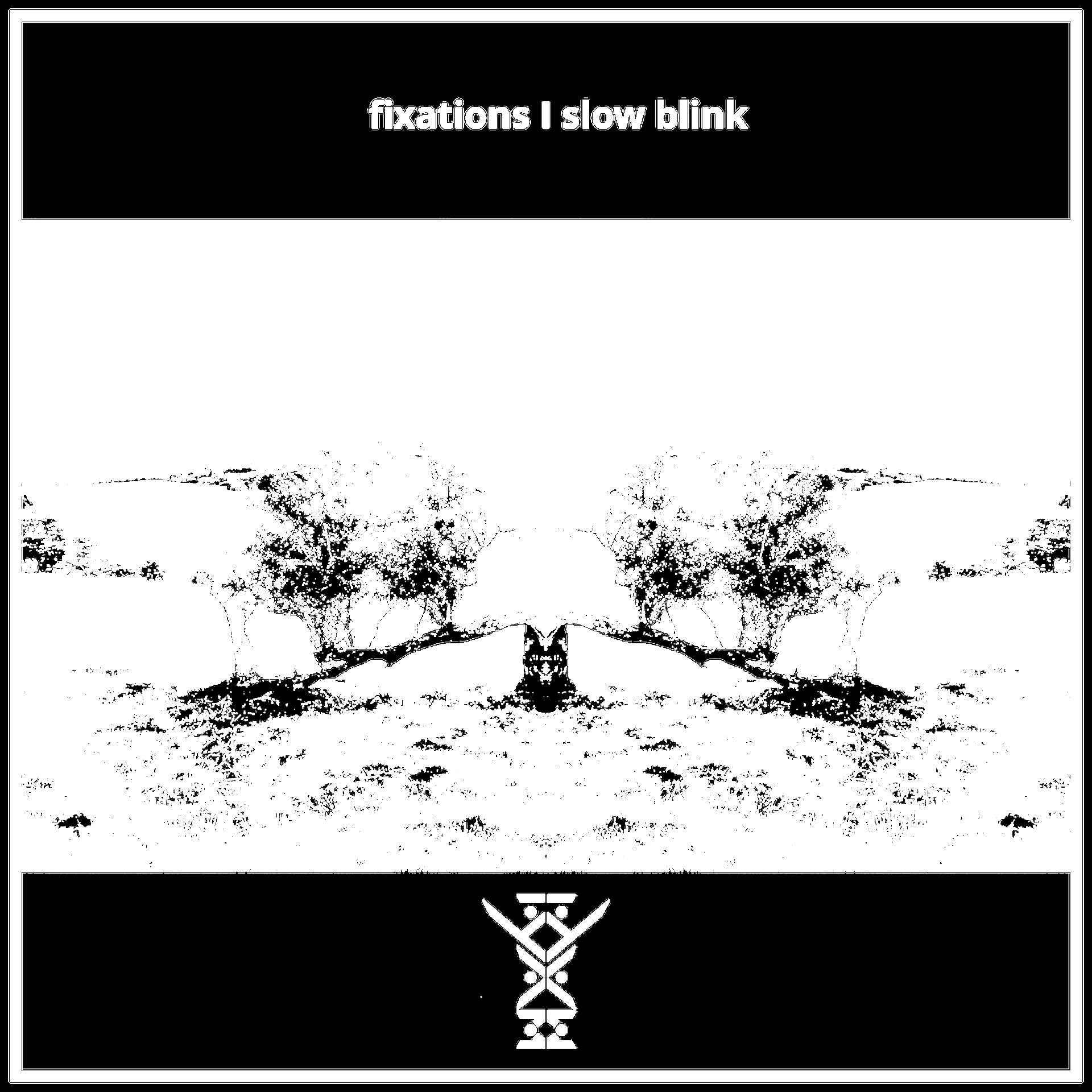 Постер альбома Fixations / Slow Blink