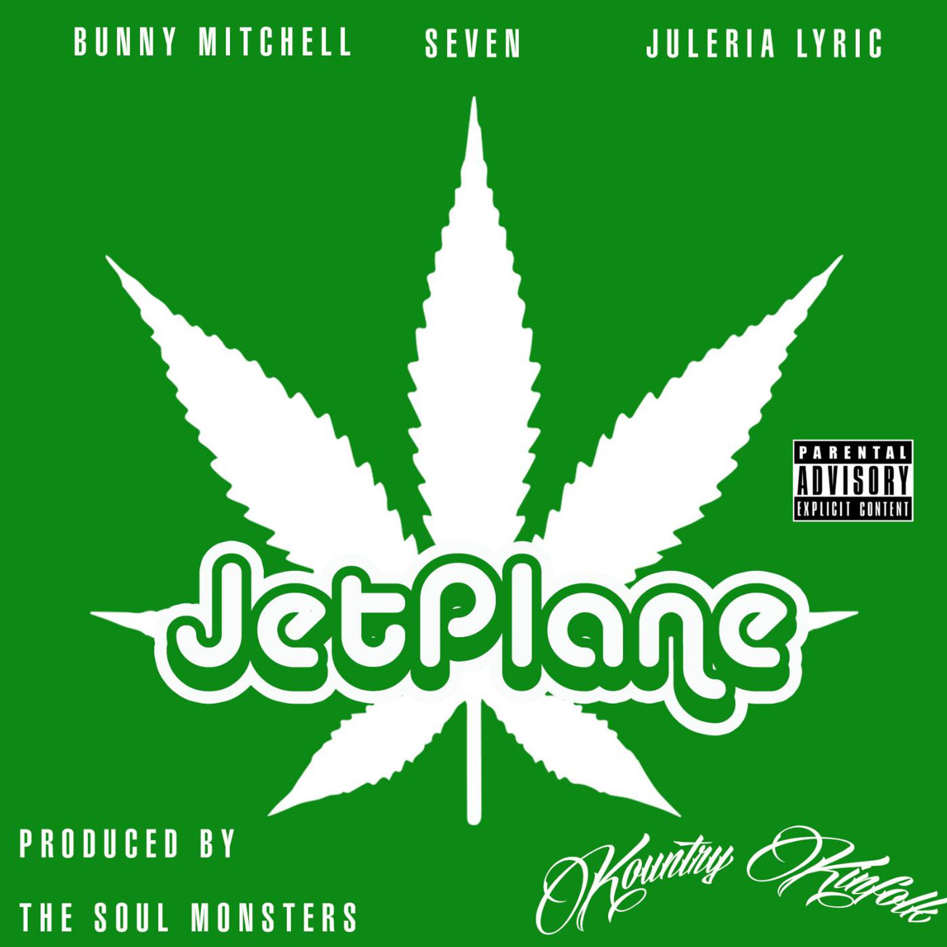 Постер альбома Jet Plane (feat. Seven, Bunny Mitchell & Juleria Lyric)