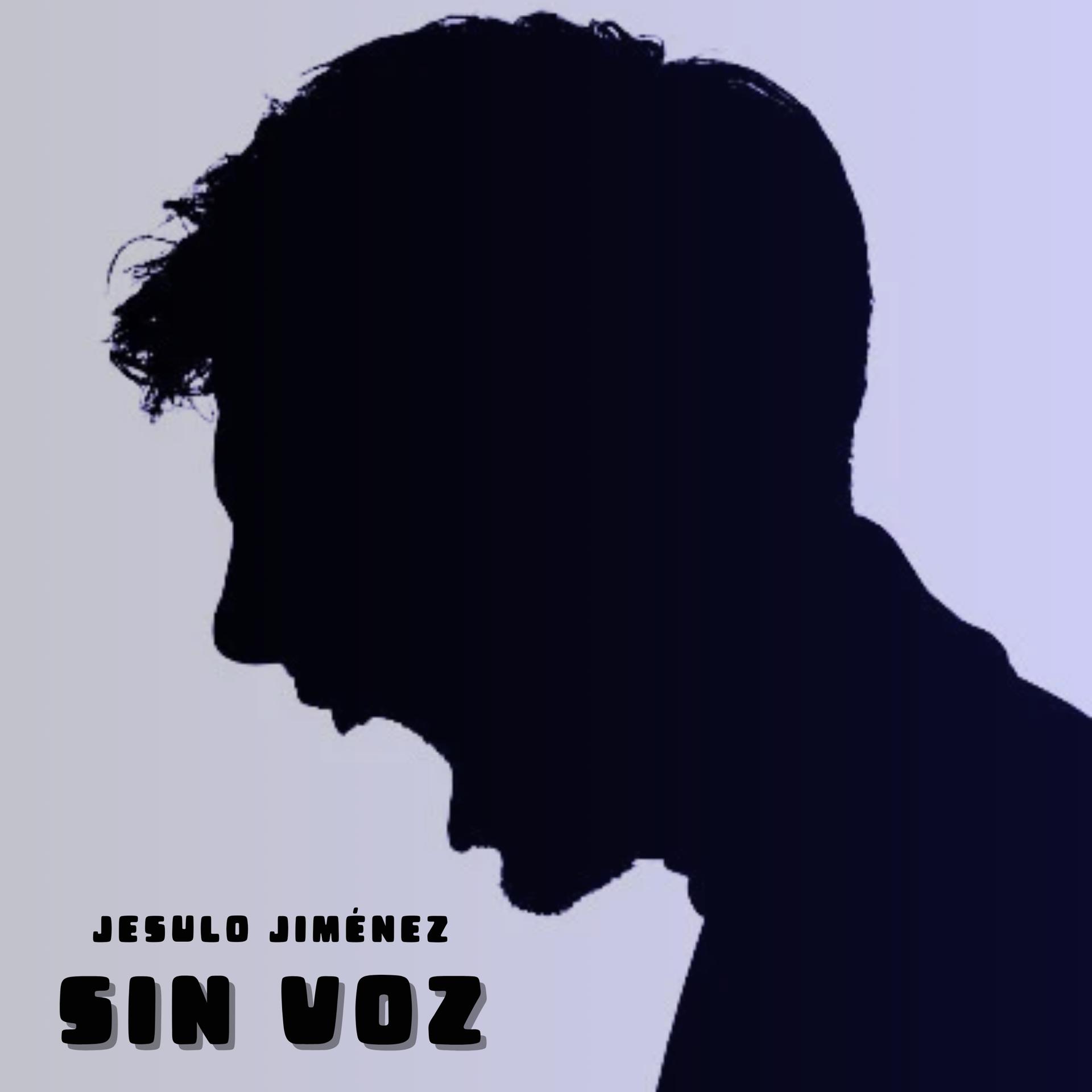 Постер альбома Sín Voz