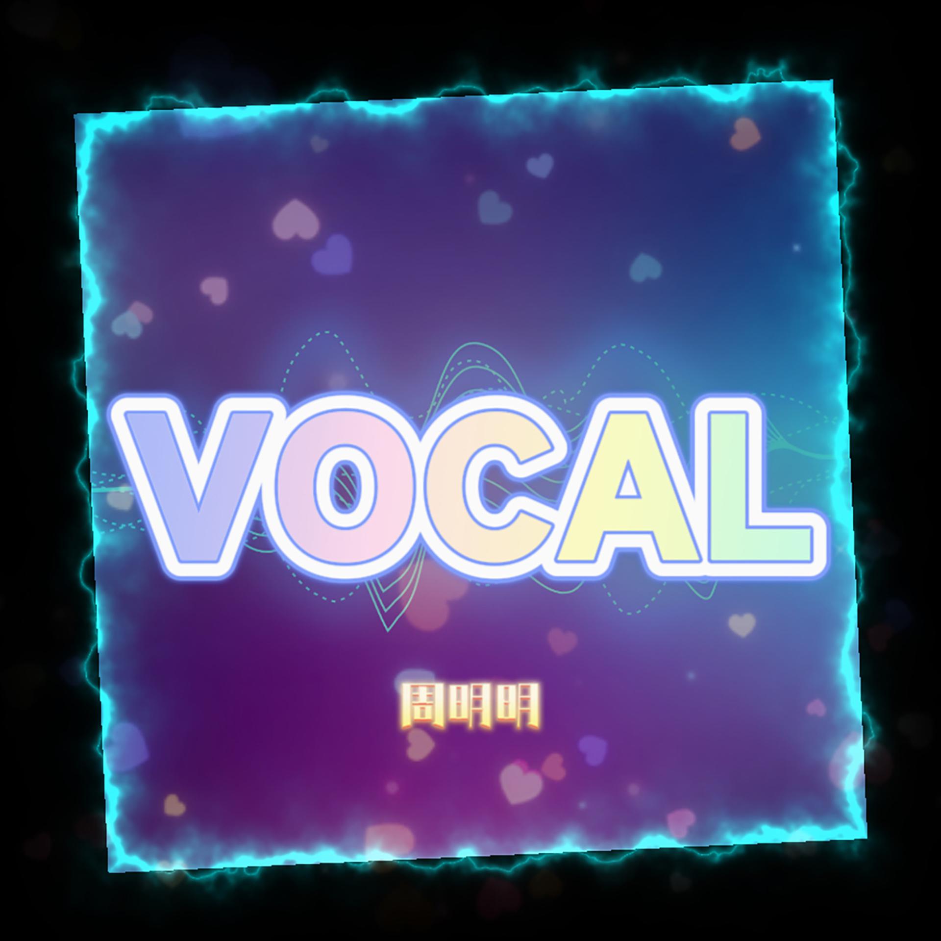 Постер альбома VOCAL
