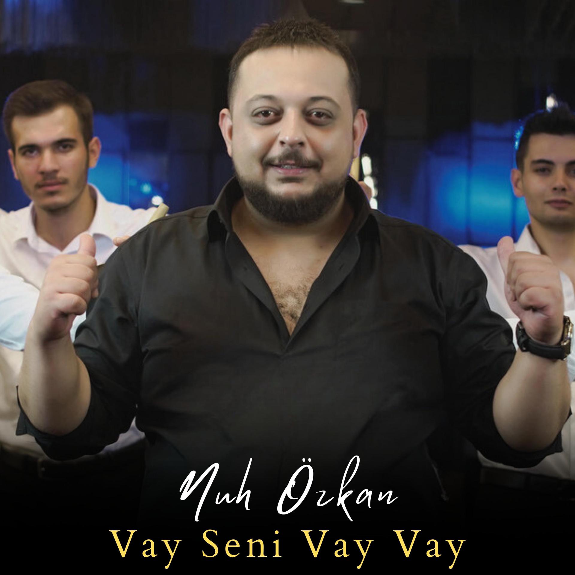 Постер альбома Vay Seni Vay Vay