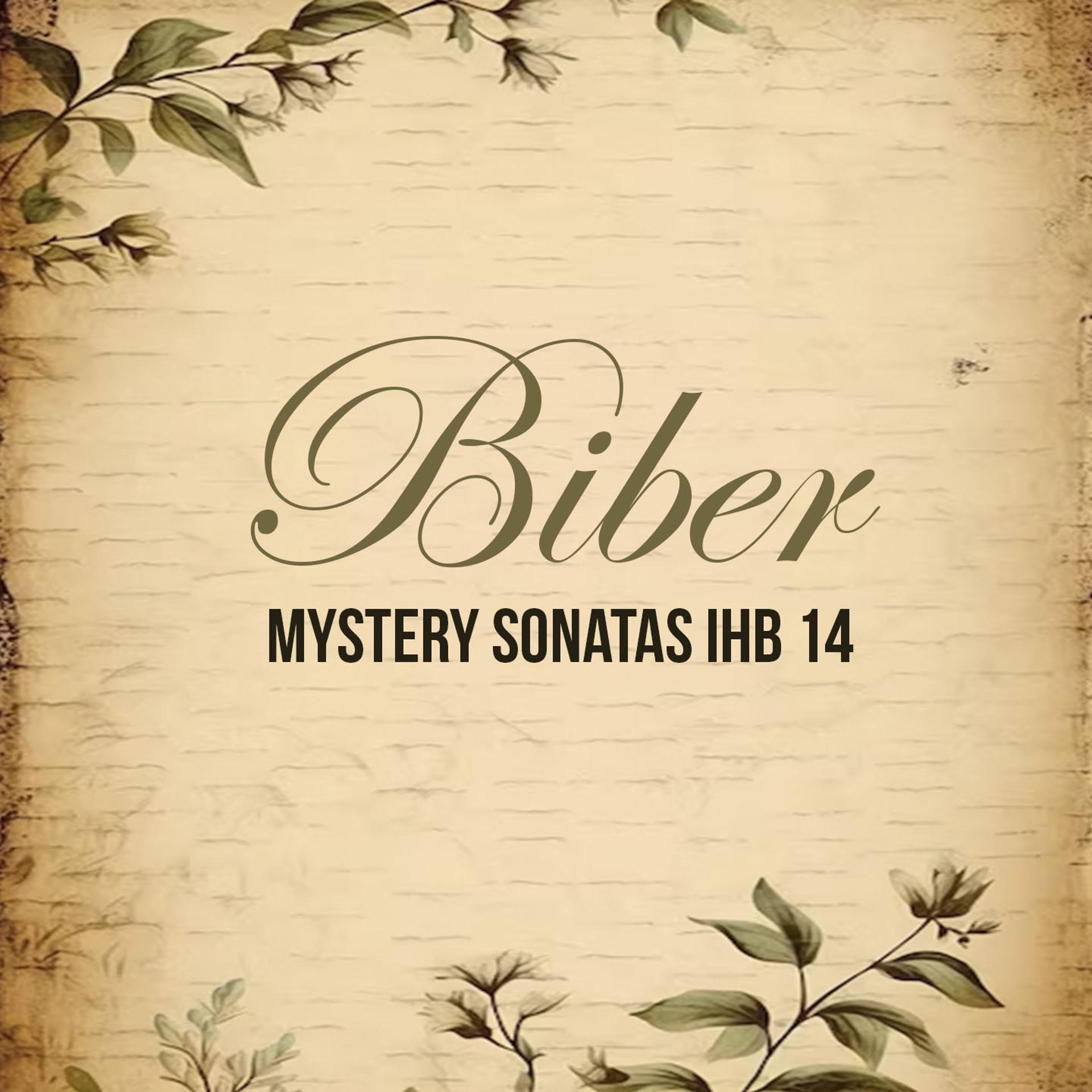 Постер альбома Biber: Mystery Sonatas