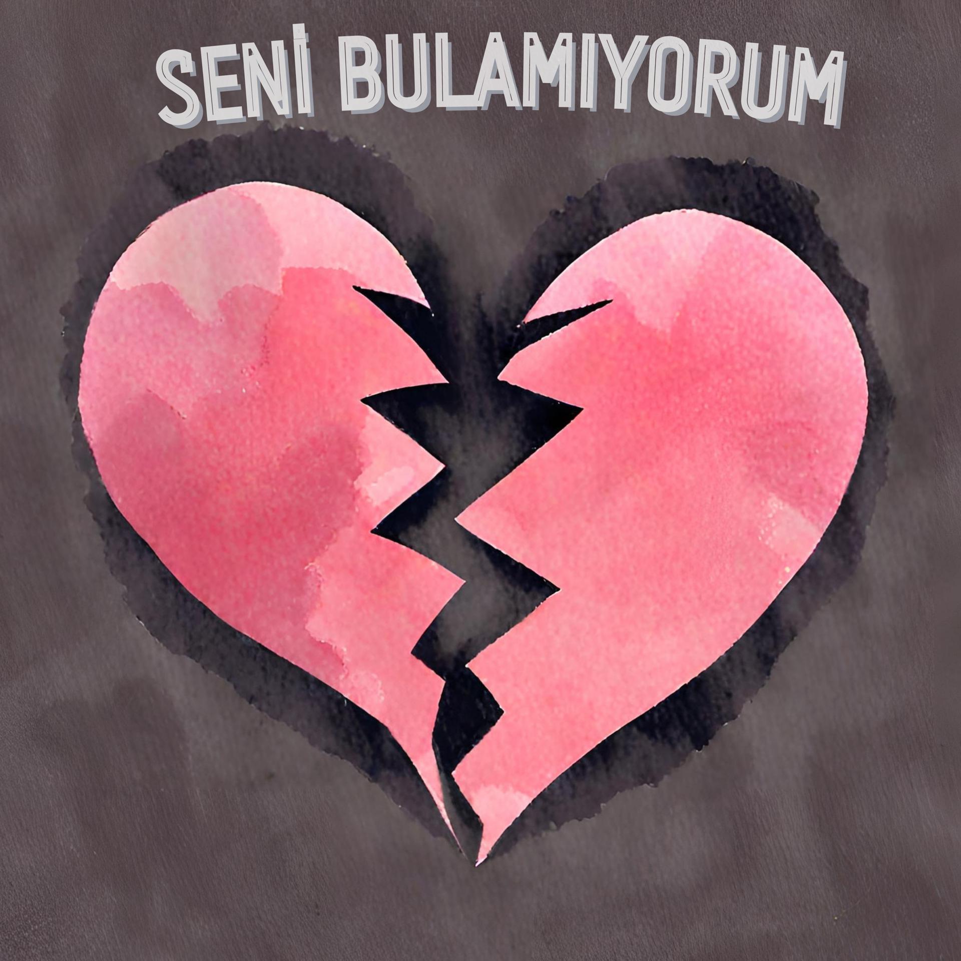 Постер альбома SENİ BULAMIYORUM