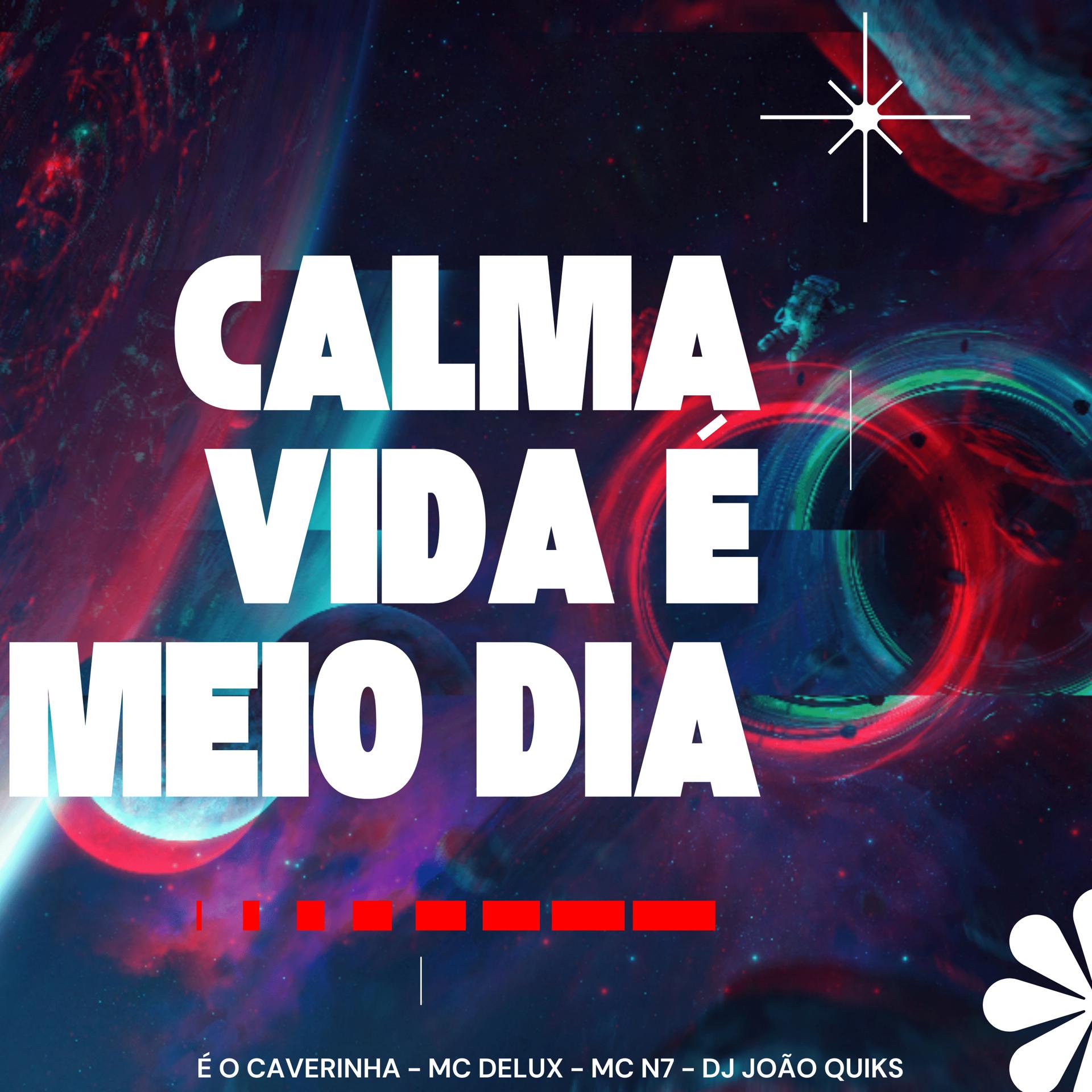 Постер альбома Calma Vida É Meio Dia
