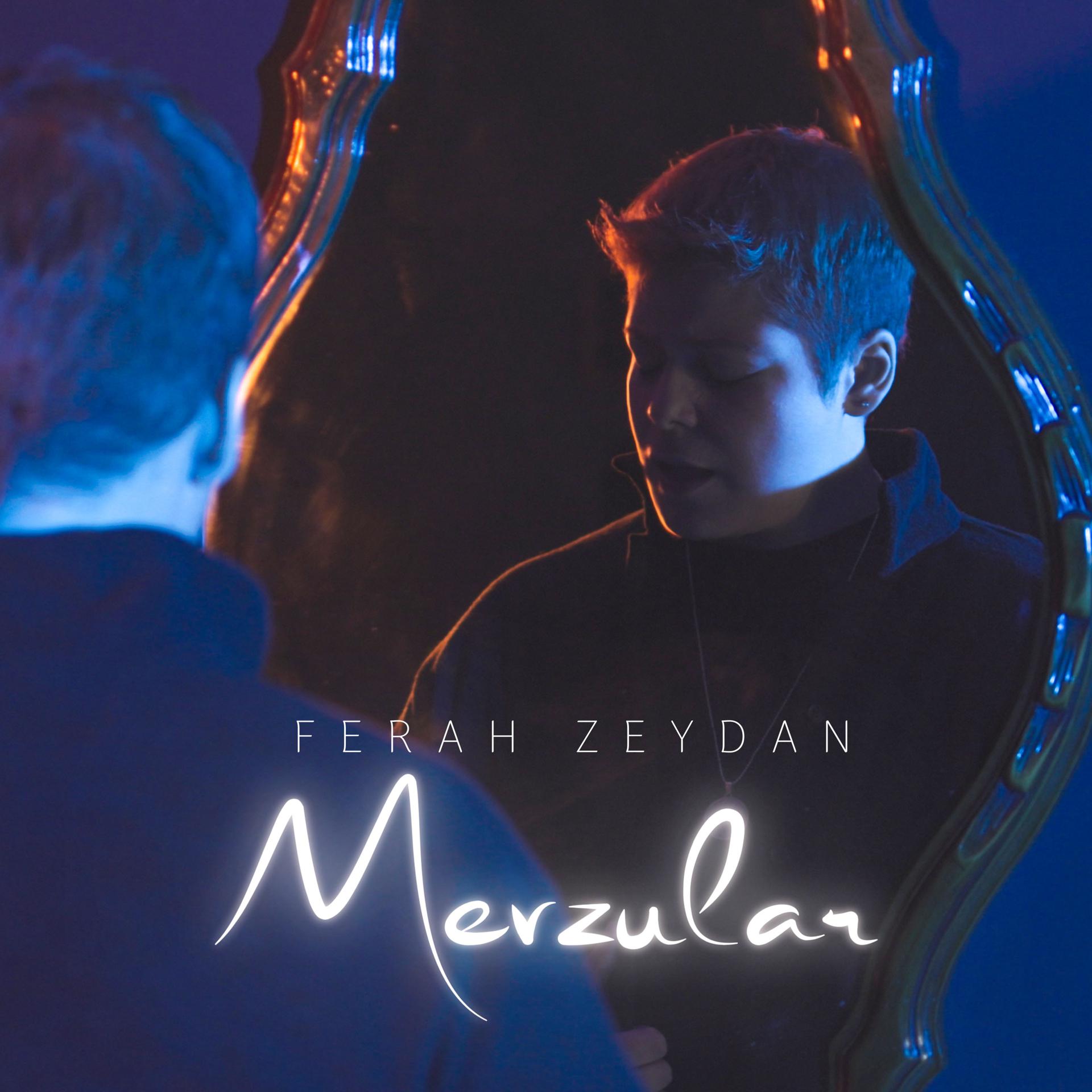 Постер альбома Mevzular