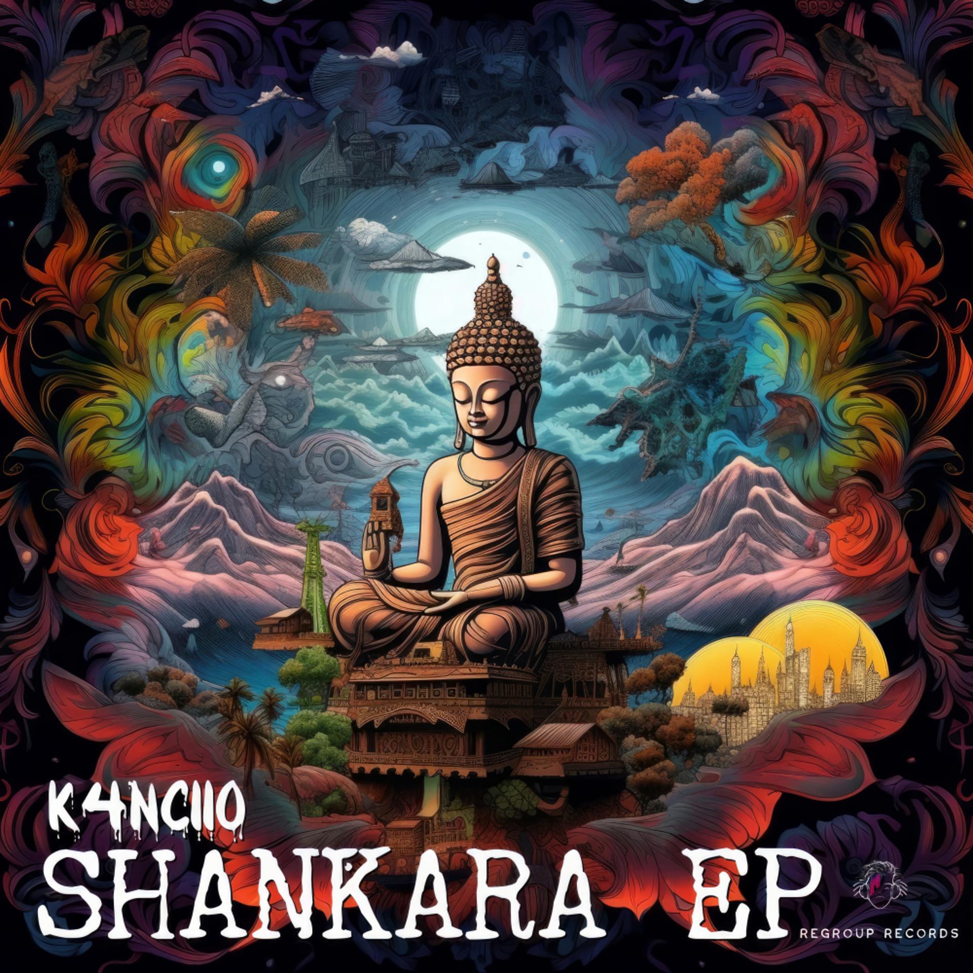 Постер альбома Shankara