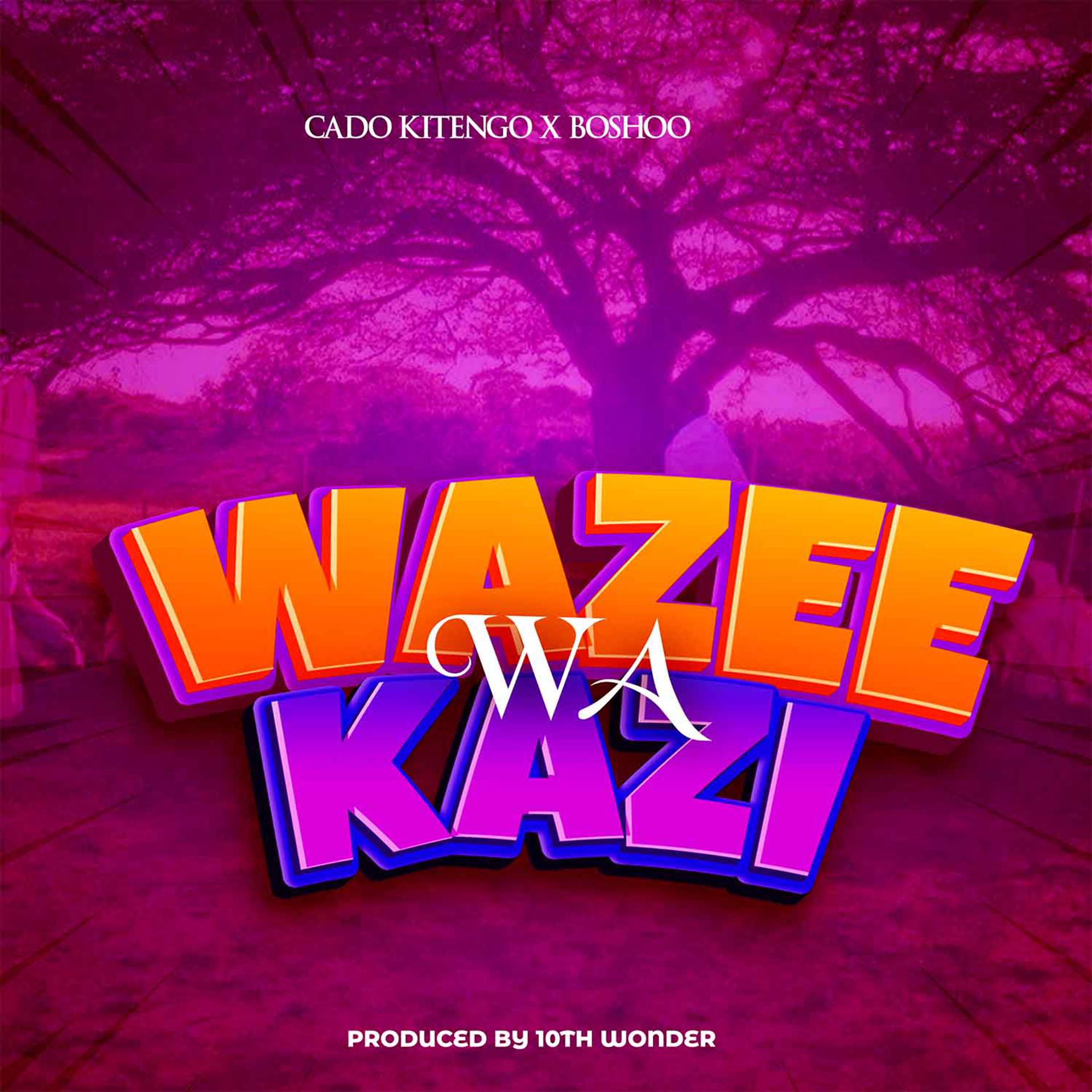 Постер альбома Wazee Wa Kazi