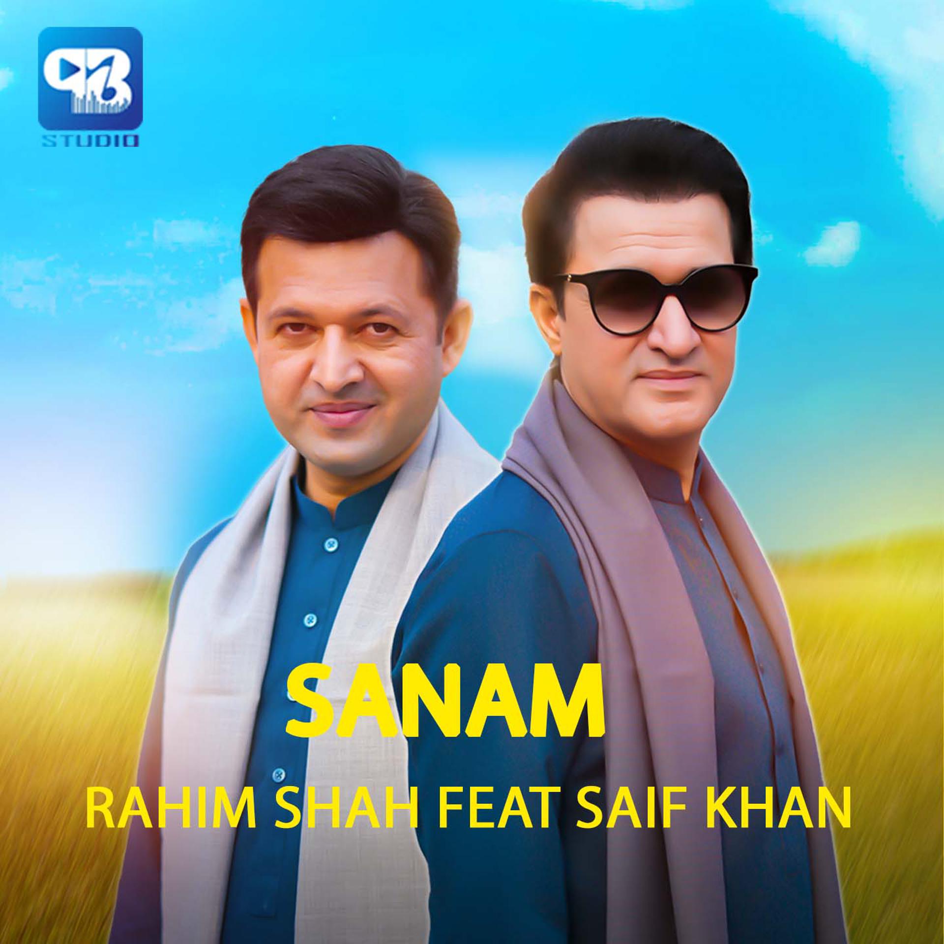 Постер альбома Sanam