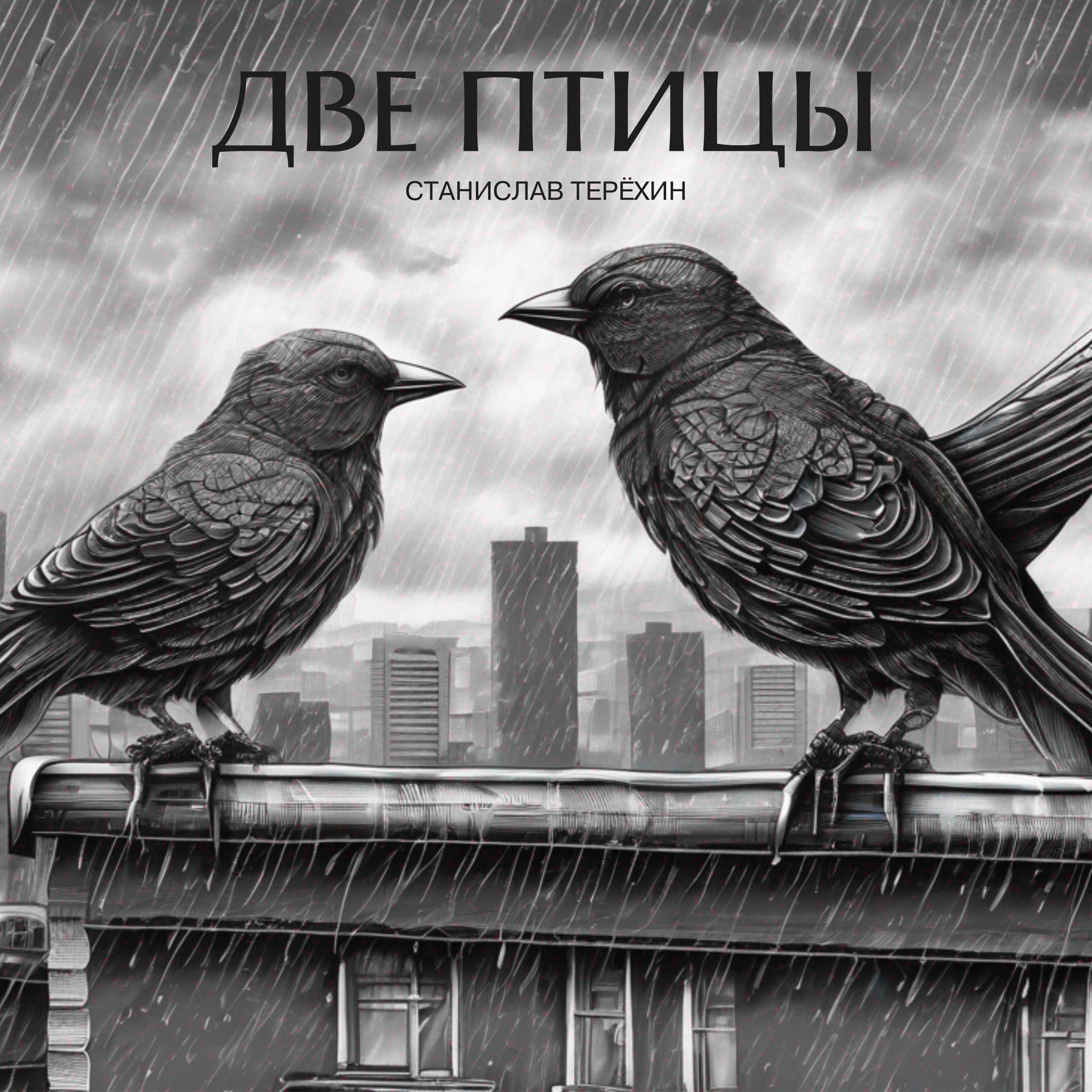 Постер альбома Две птицы
