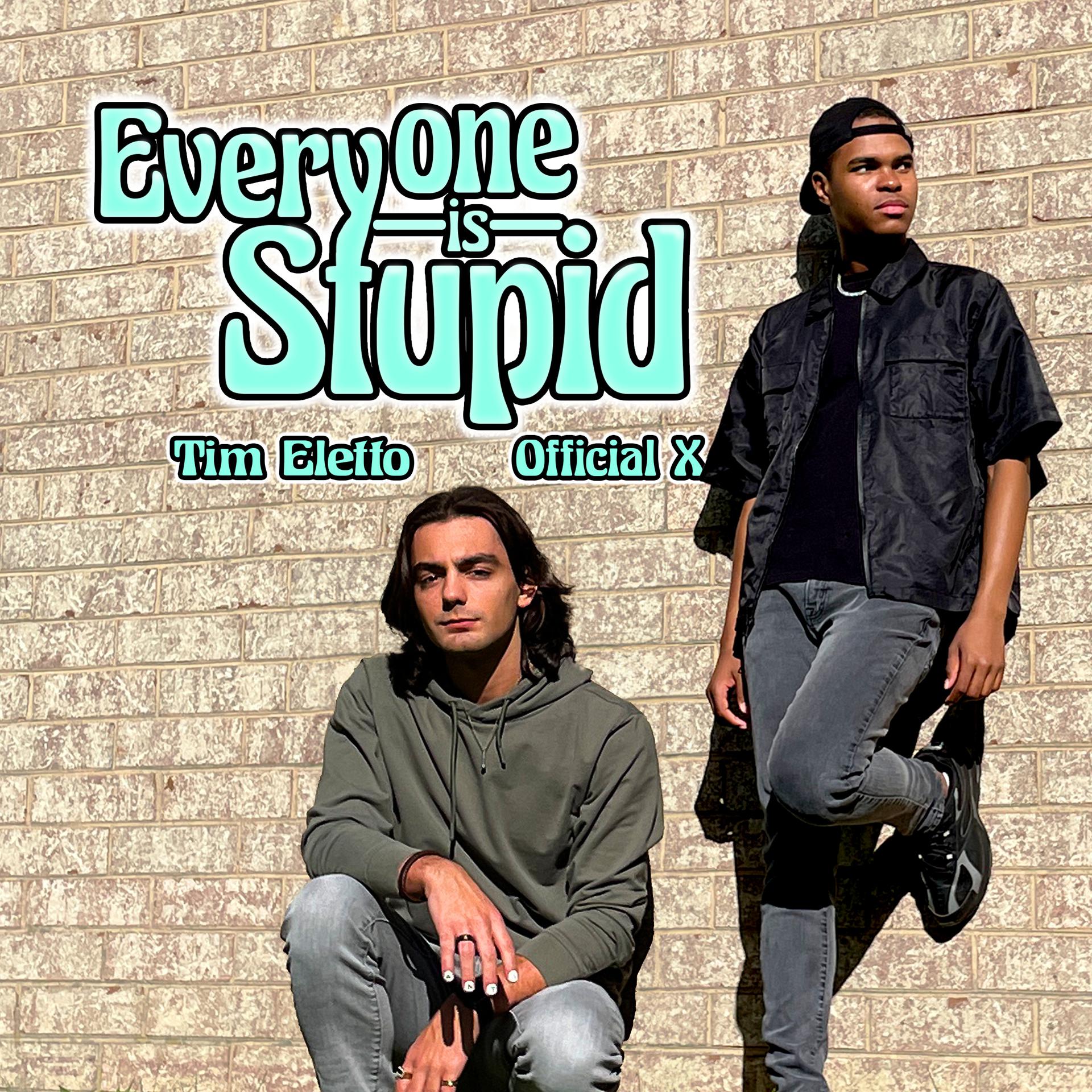 Постер альбома Everyone Is Stupid