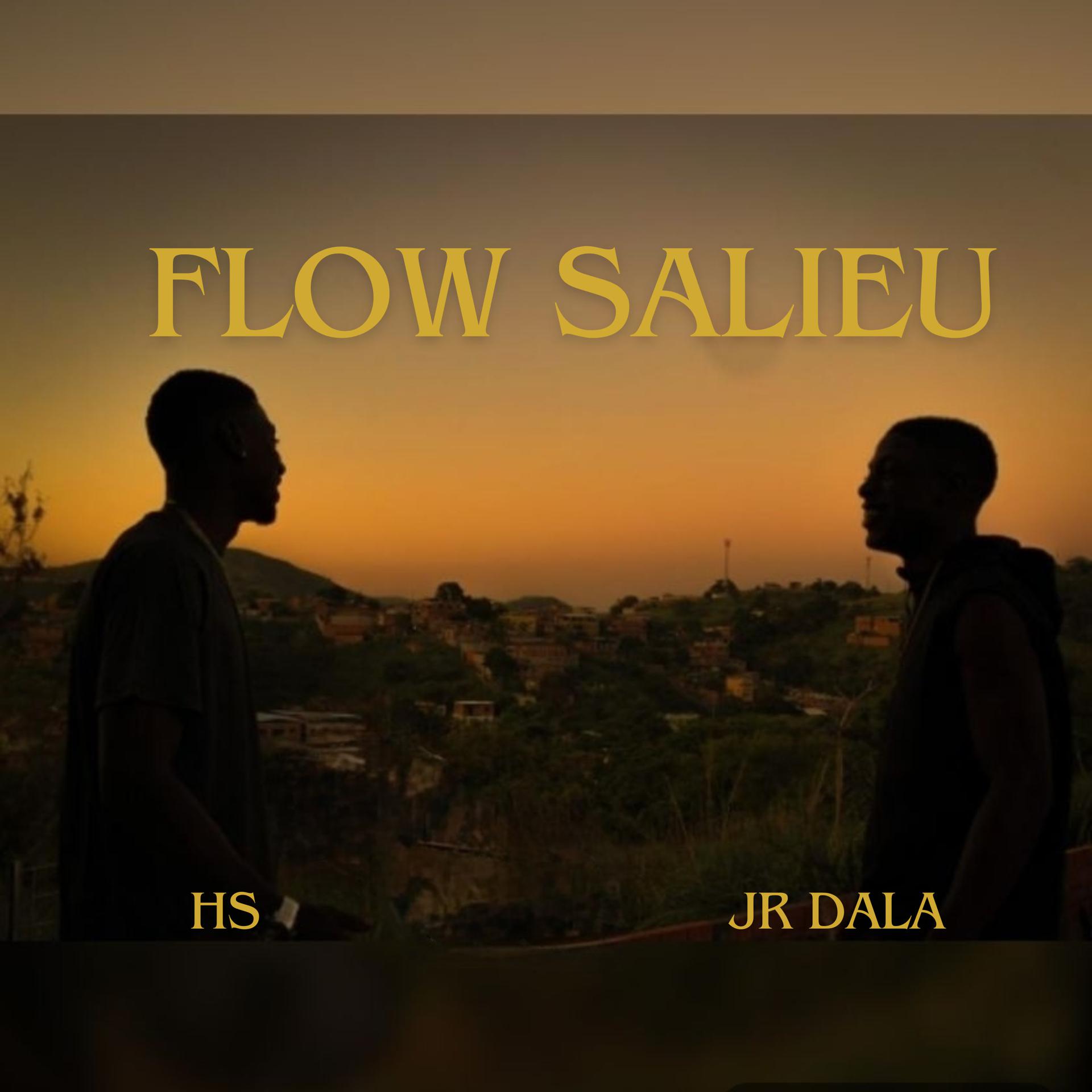 Постер альбома Flow Salieu