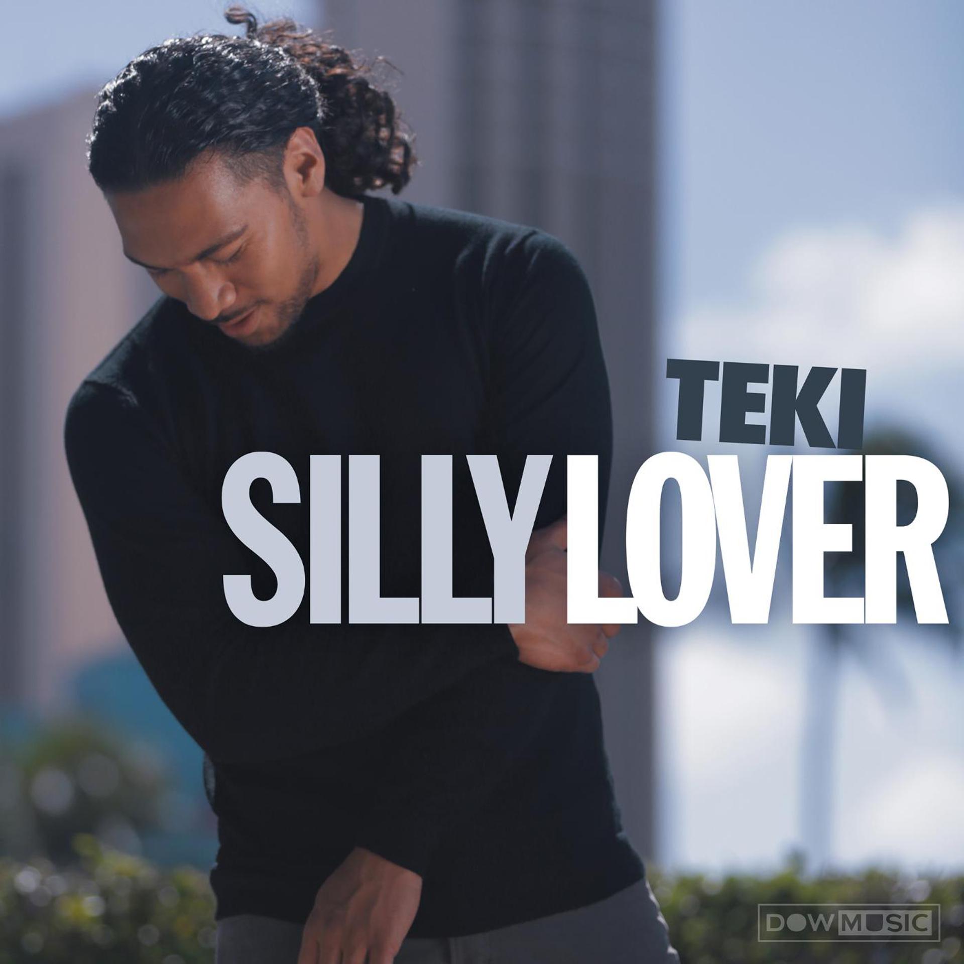 Постер альбома Silly Lover