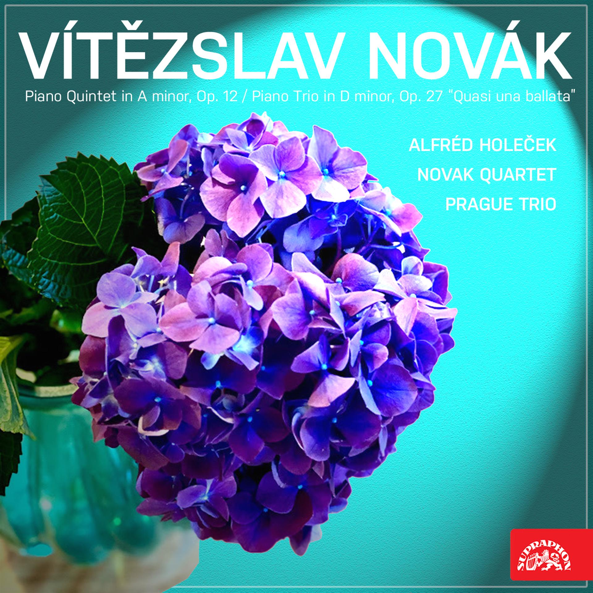 Постер альбома Novák: Piano Quintet in A minor, Op. 12, Piano Trio in D minor, Op. 27 "Quasi una Ballata"