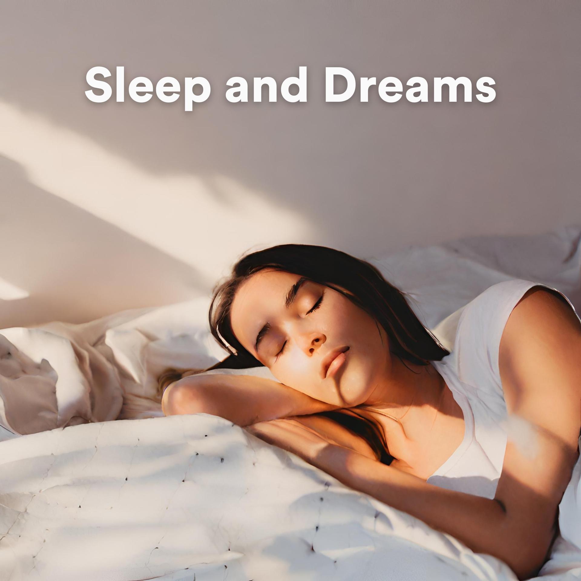 Постер альбома Sleep and Dreams