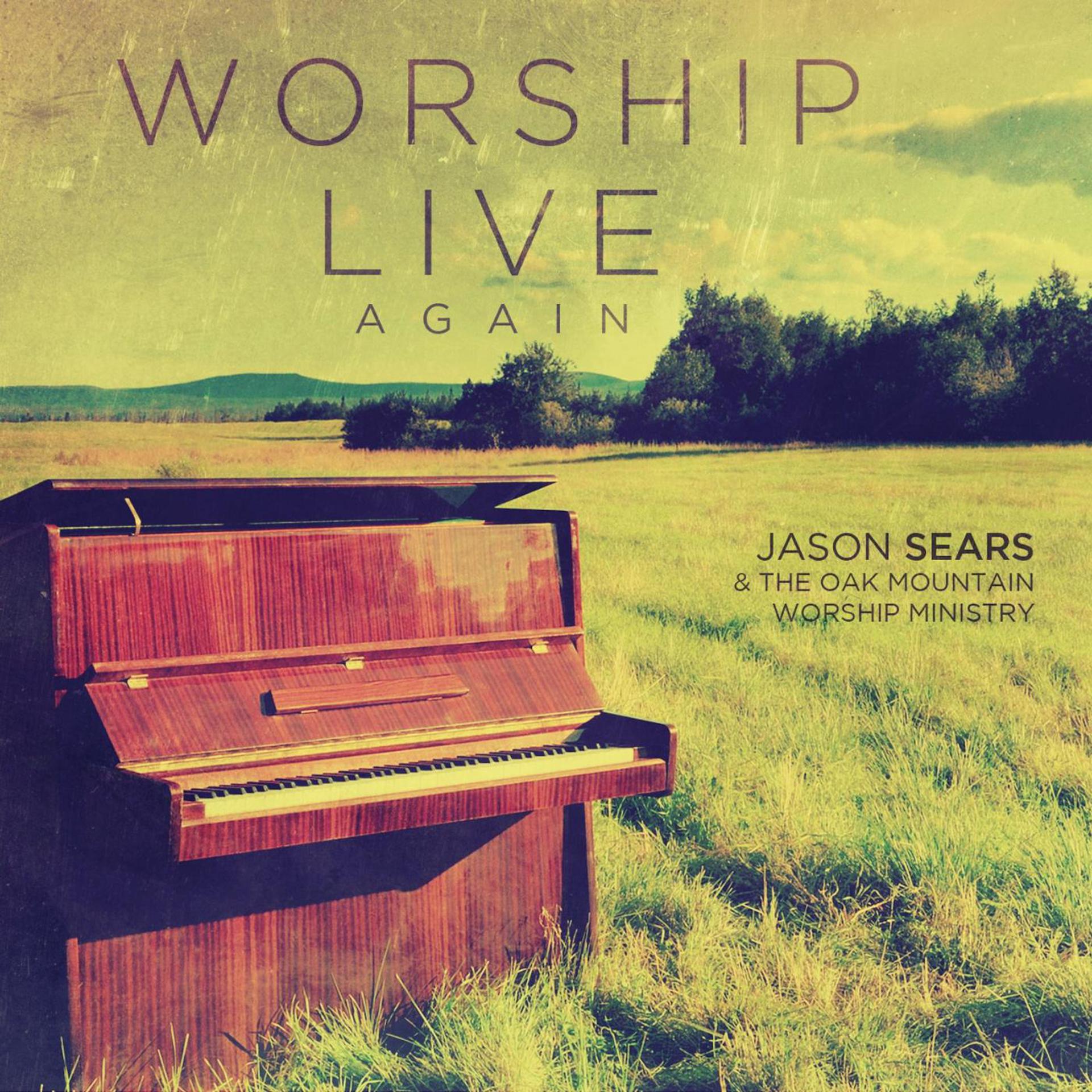 Постер альбома Worship Live, Again