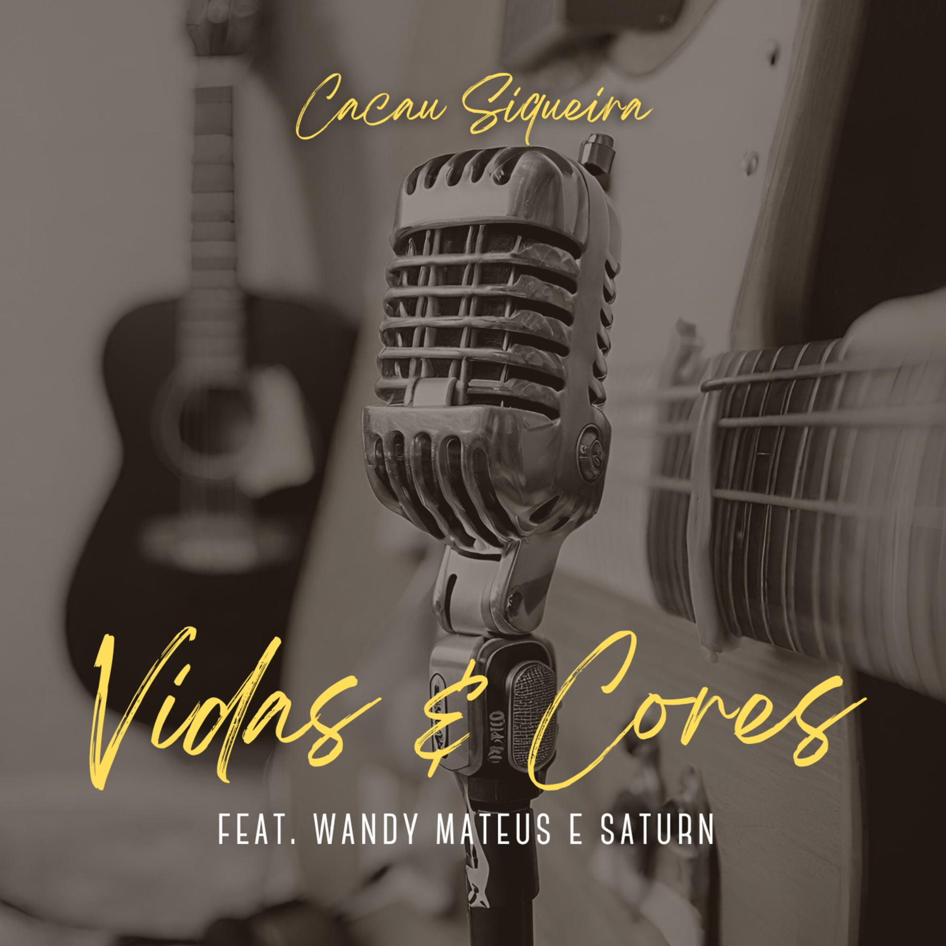 Постер альбома Vidas & Cores