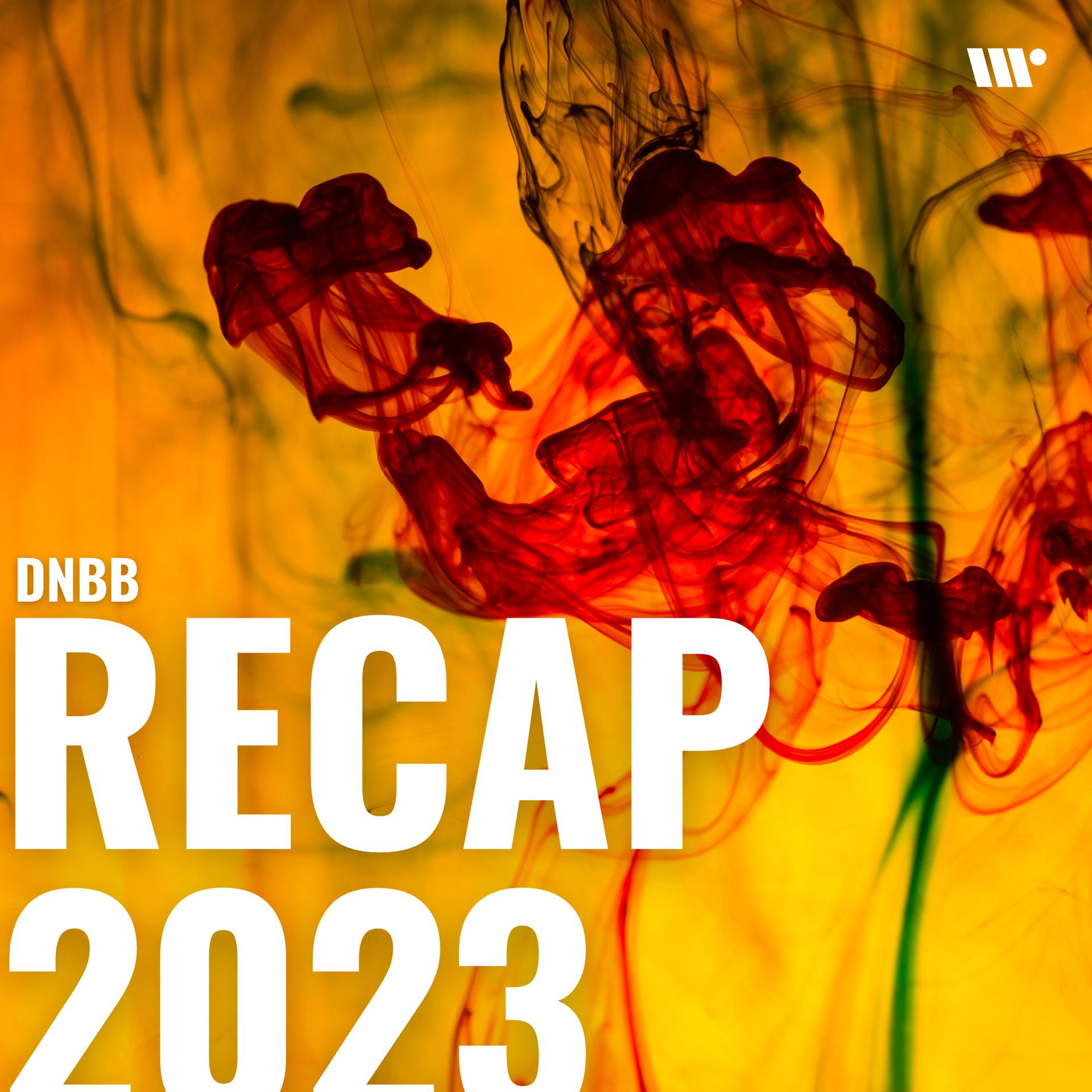 Постер альбома DNBB Recap 2023