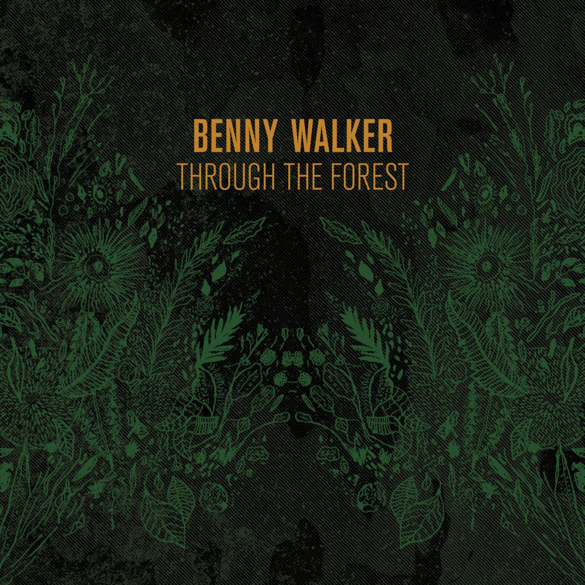 Постер альбома Through the Forest