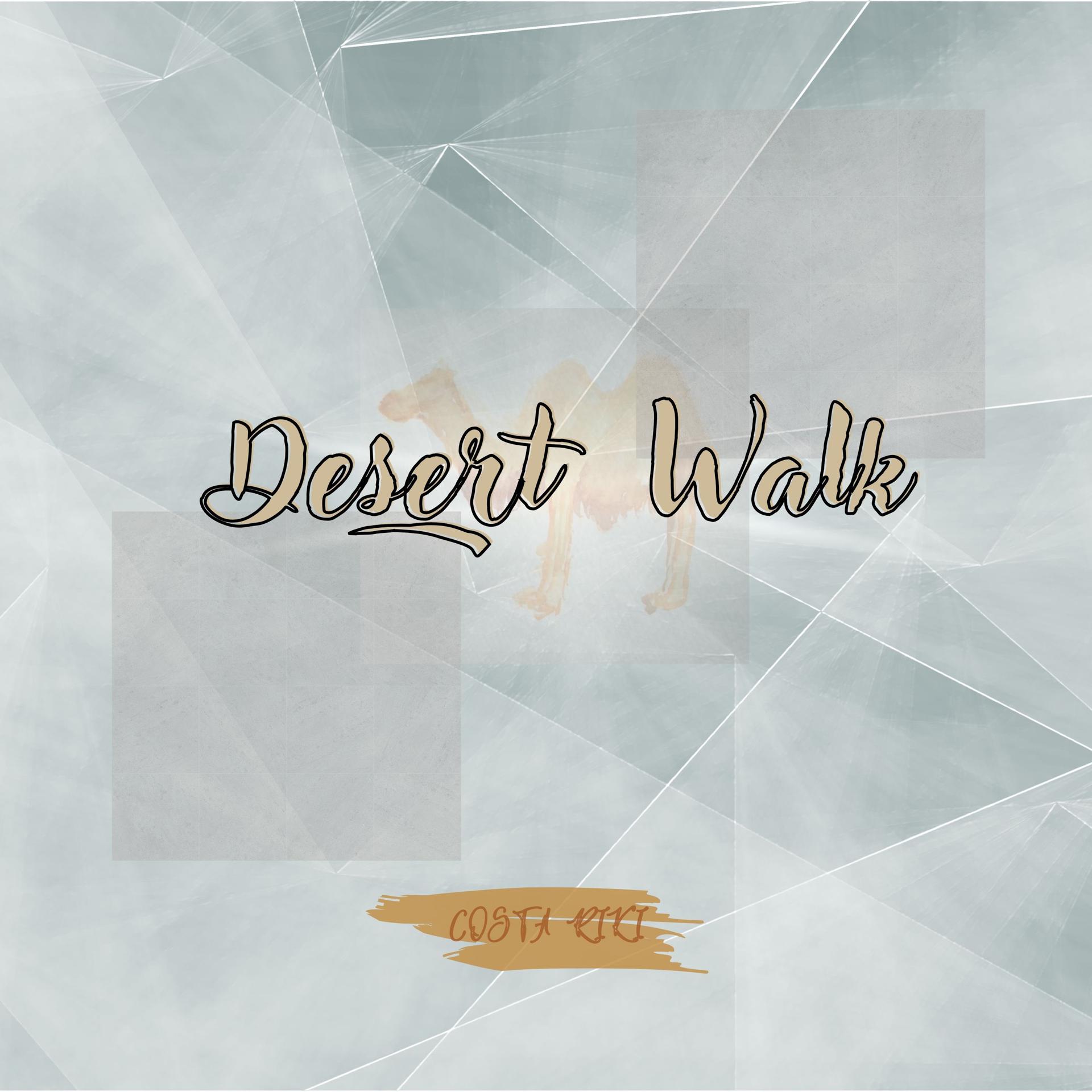 Постер альбома Desert Walk