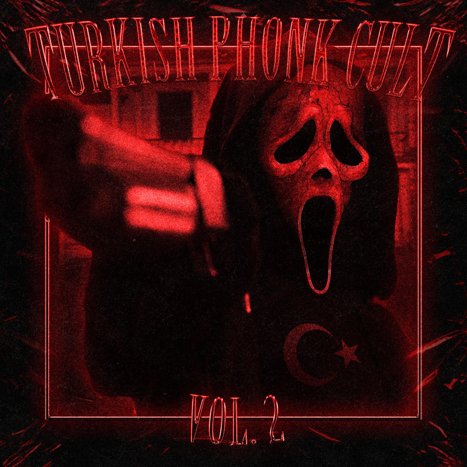 Постер альбома Turkish Phonk Cult Vol. 2