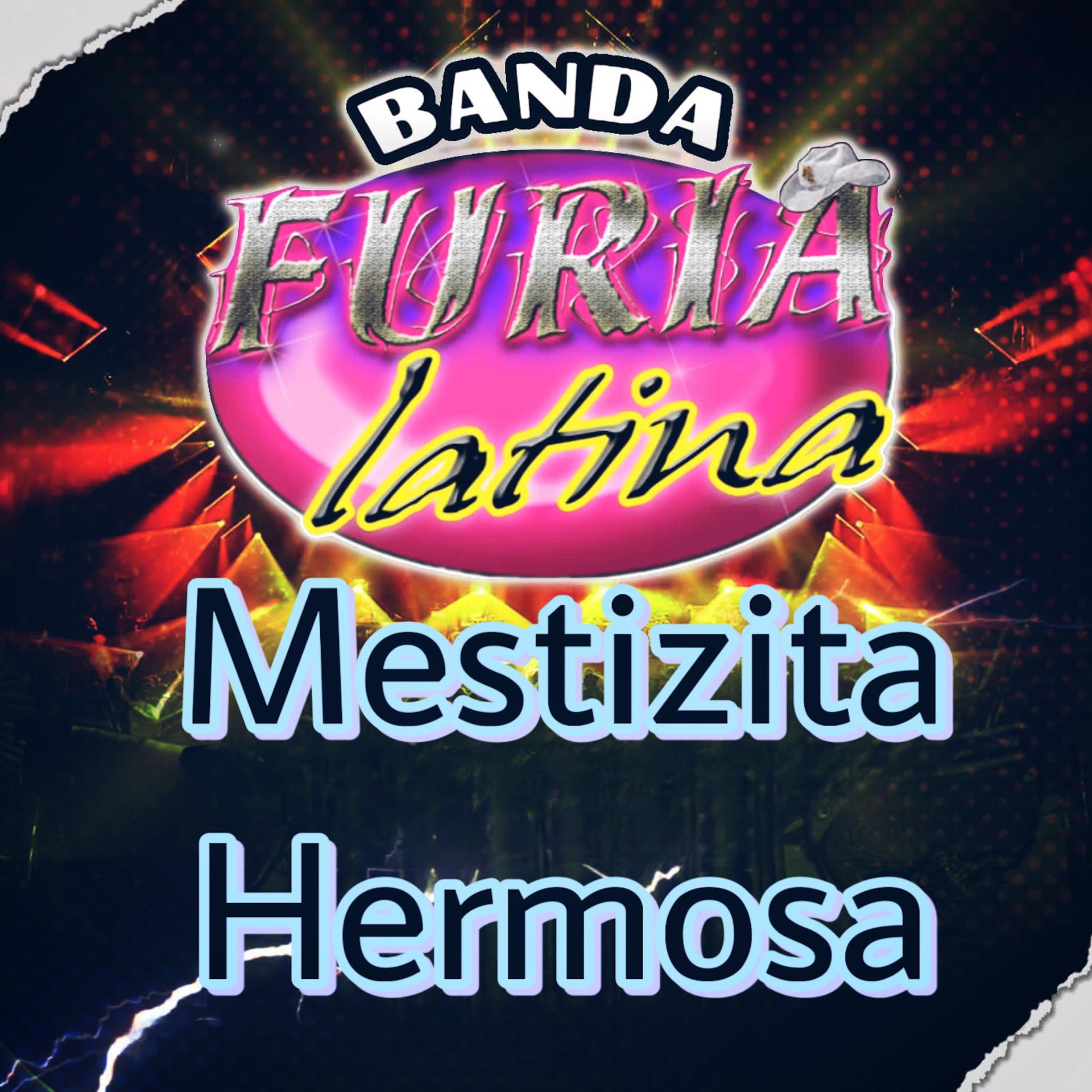Постер альбома Mestizita Hermosa