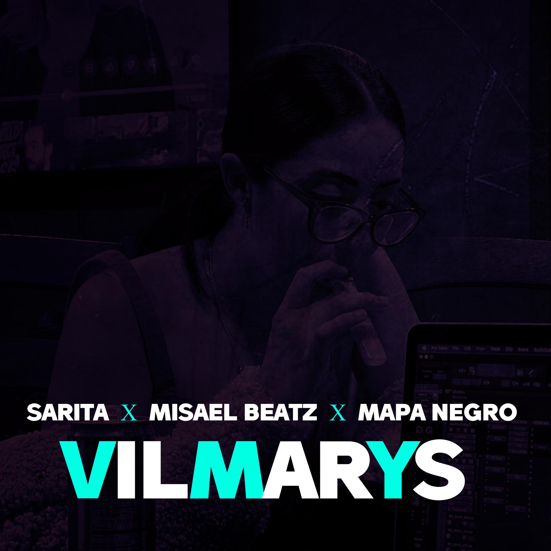 Постер альбома Vilmarys