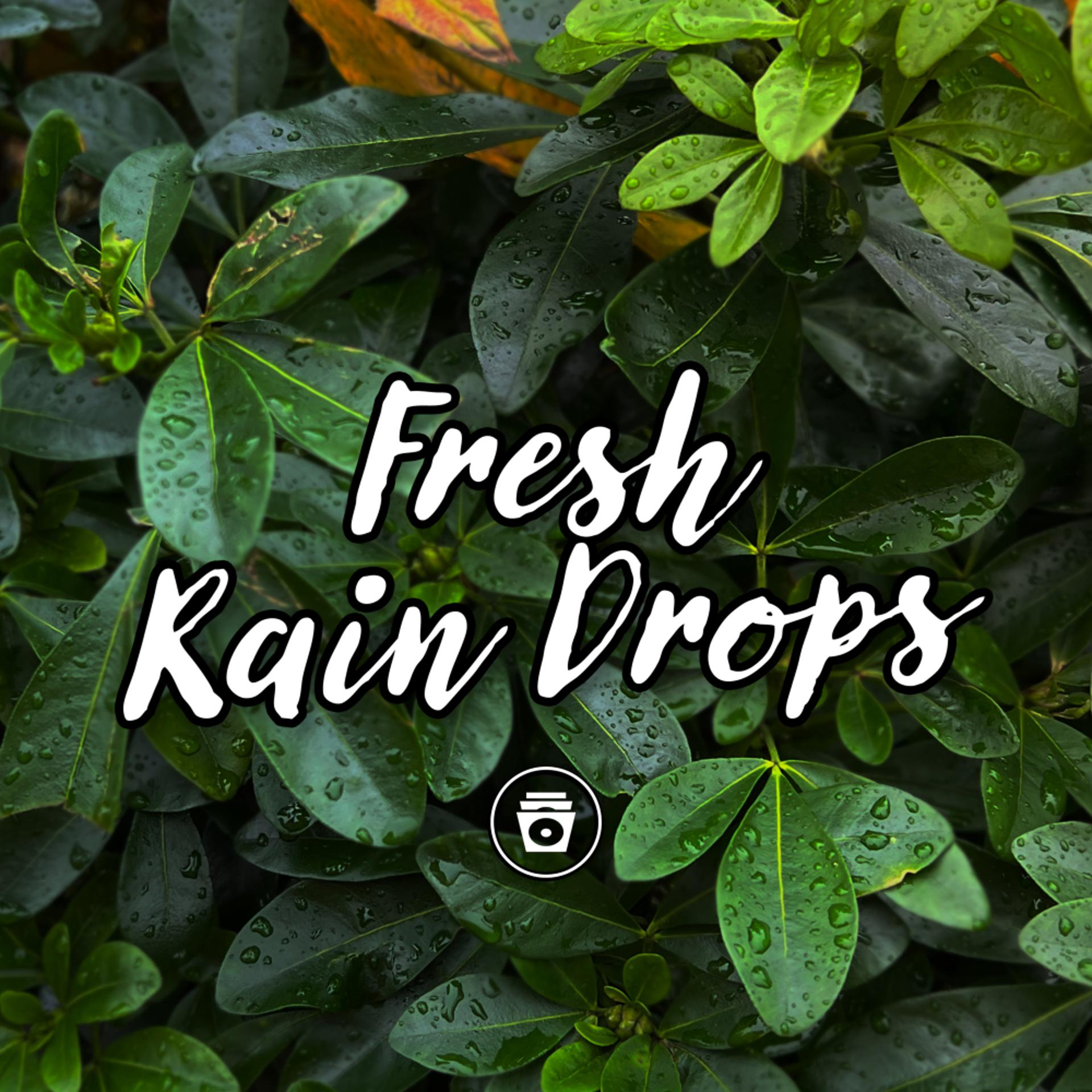 Постер альбома Fresh Rain Drops