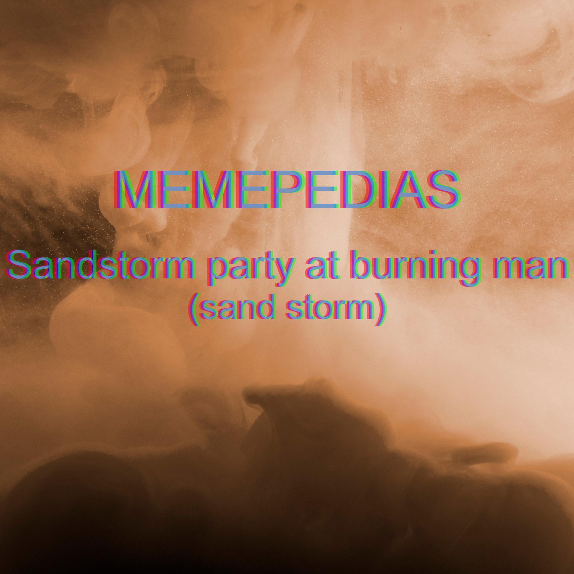 Постер альбома Sandstorm Party at Burning Man (Sand Storm)