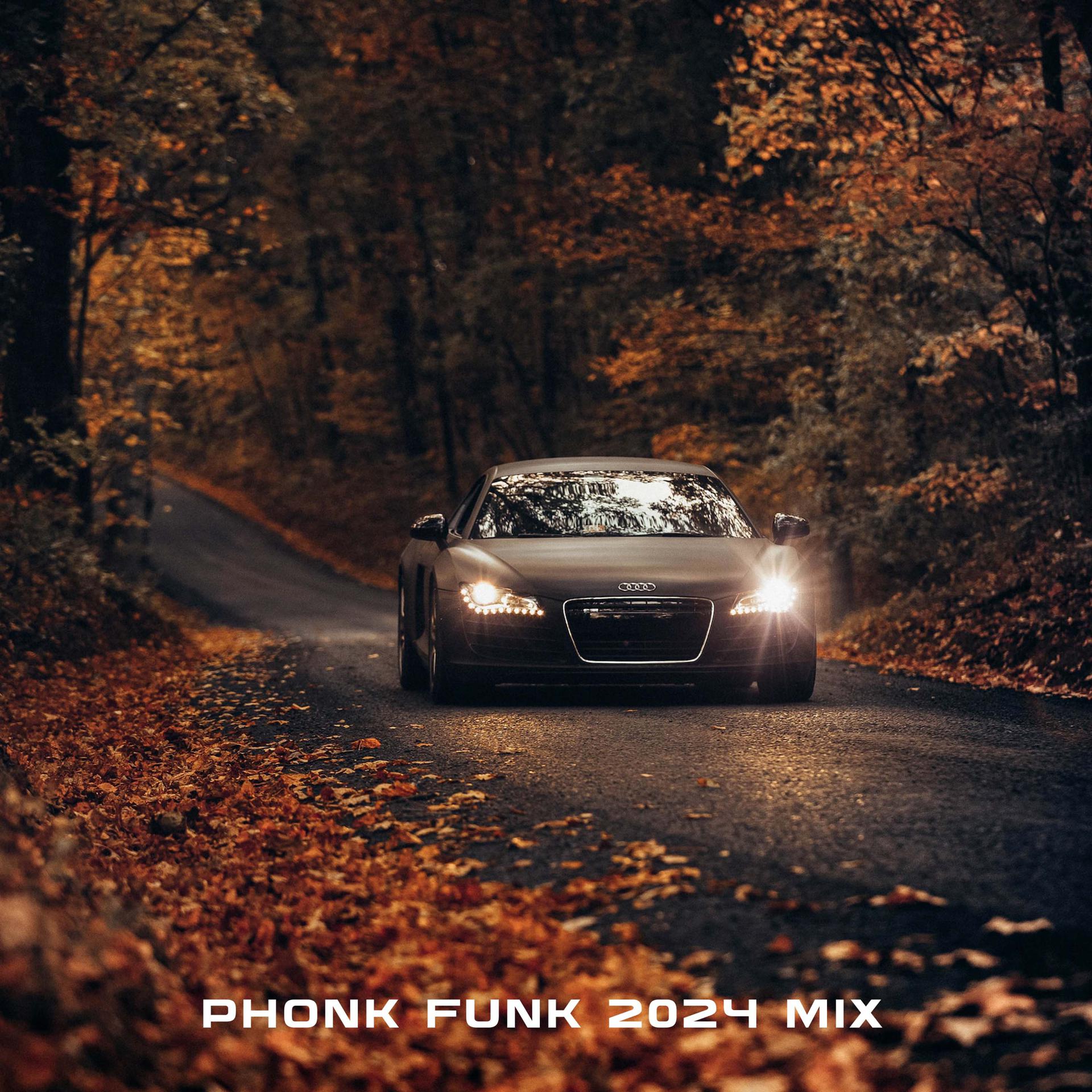 Постер альбома Phonk Funk 2024 Mix