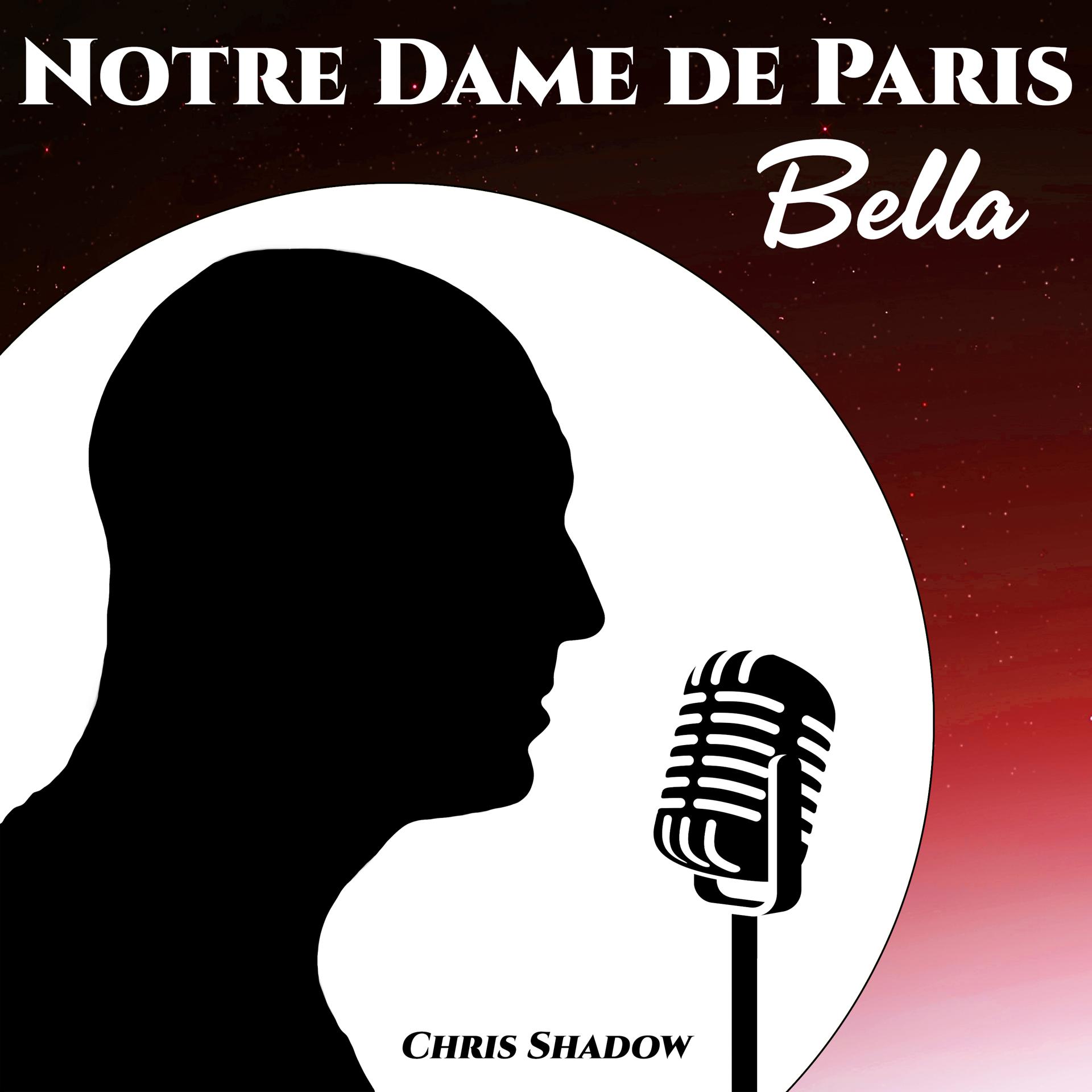 Постер альбома Notre Dame de Paris