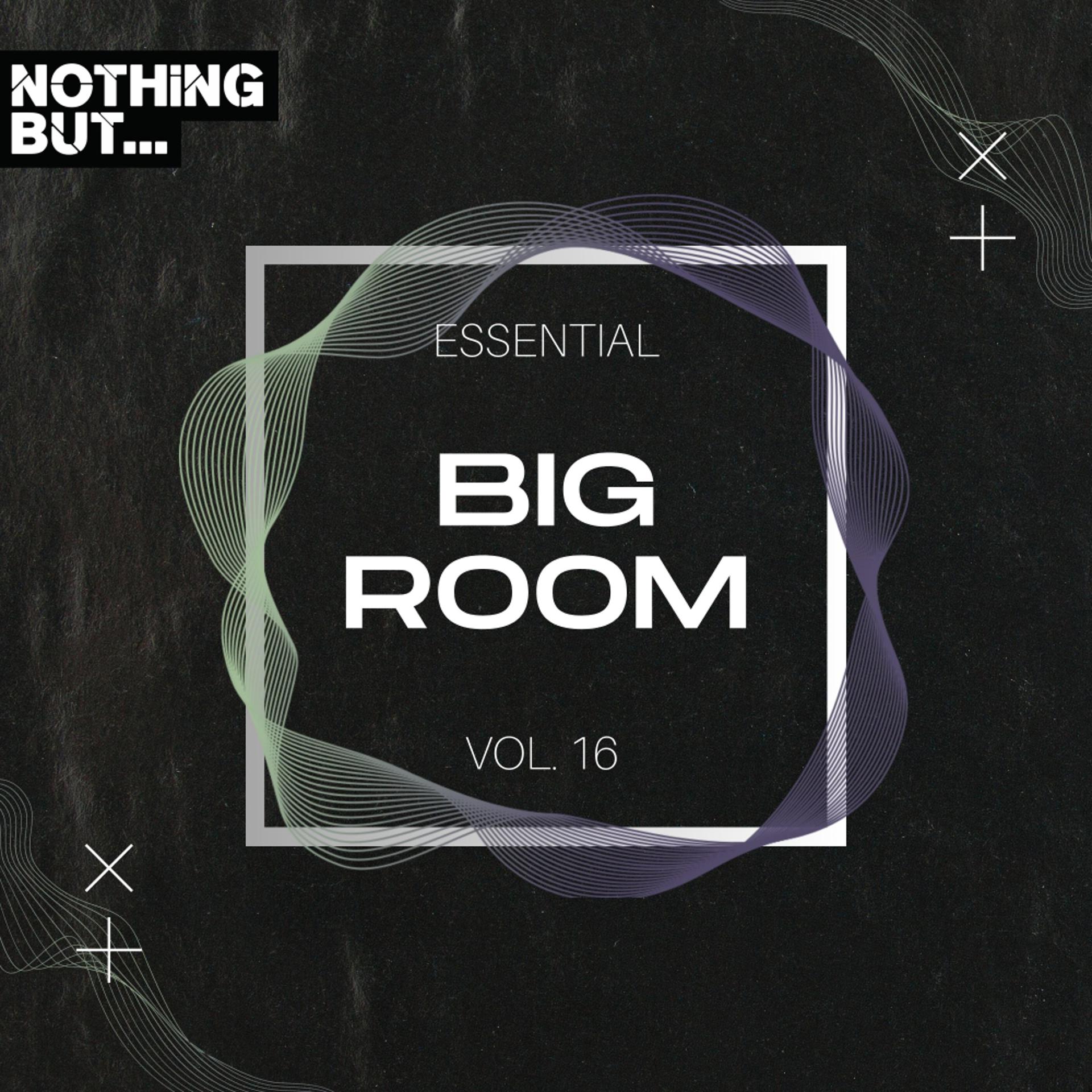 Постер альбома Nothing But... Essential Big Room, Vol. 16